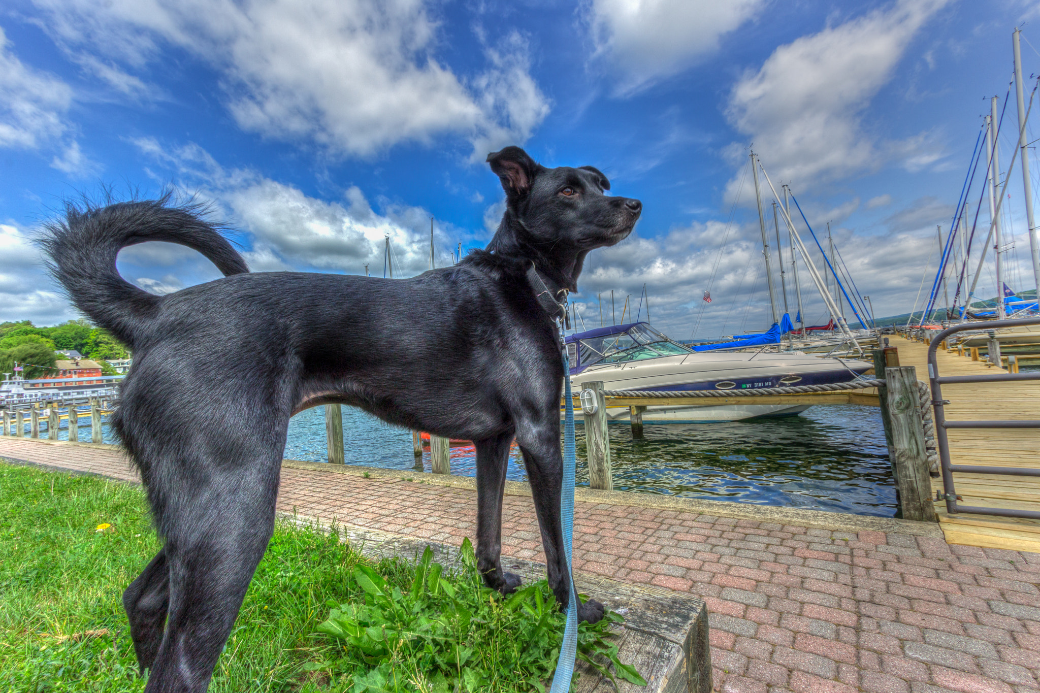 Canon EF-S 10-22mm F3.5-4.5 USM sample photo. Painted lady rachel photography