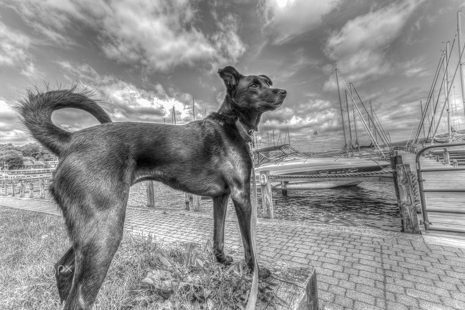 Canon EF-S 10-22mm F3.5-4.5 USM sample photo. Lilly girl photography