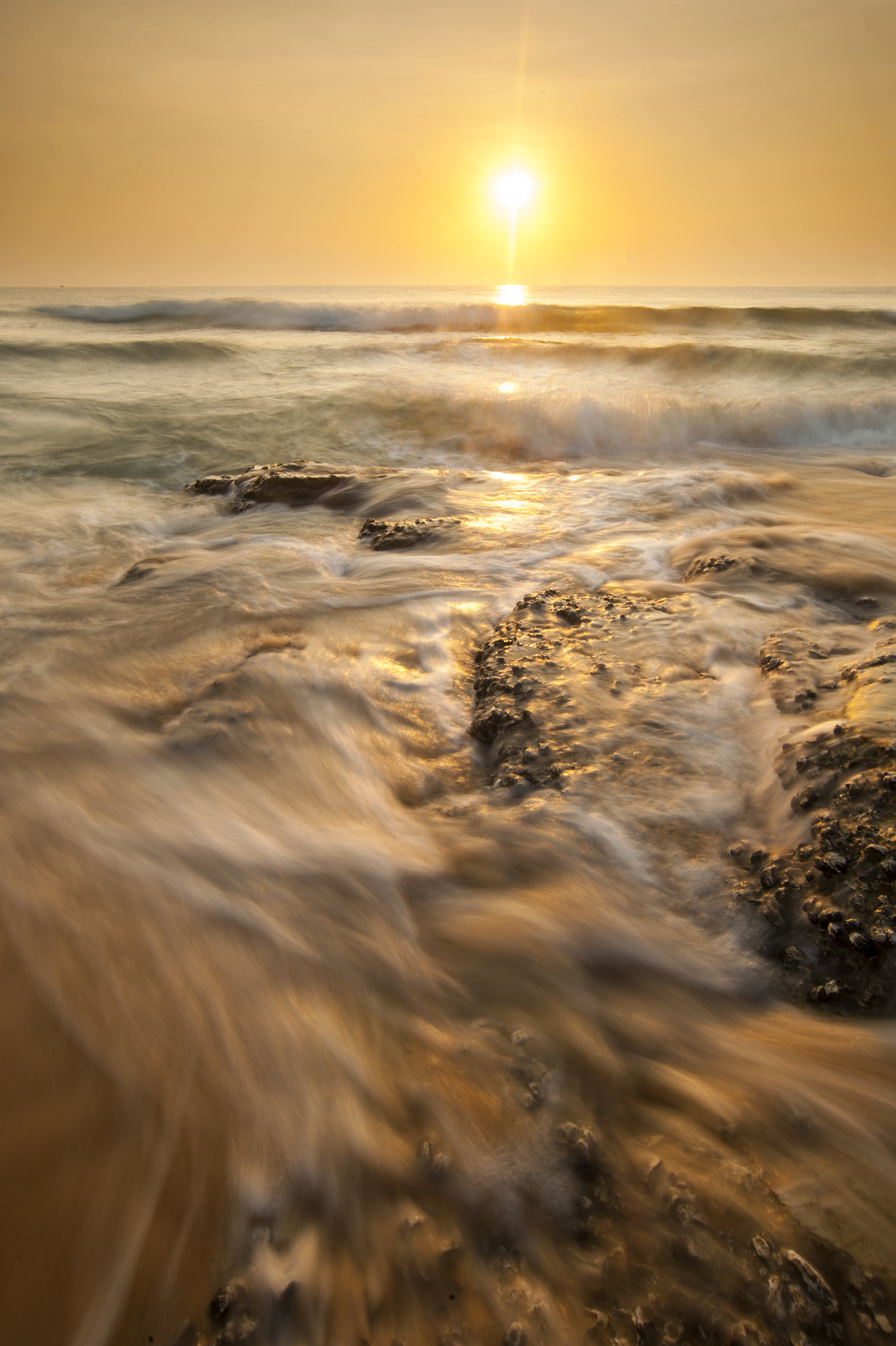 Nikon D3 sample photo. The rage of wave with the golden sunrise photography