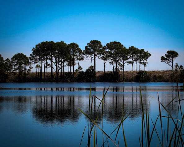 Canon EF 28-80mm f/3.5-5.6 sample photo. Reflection photography