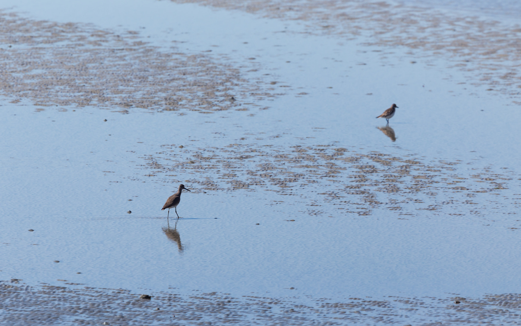 Canon EF 400mm F4.0 DO IS USM sample photo. Birds photography