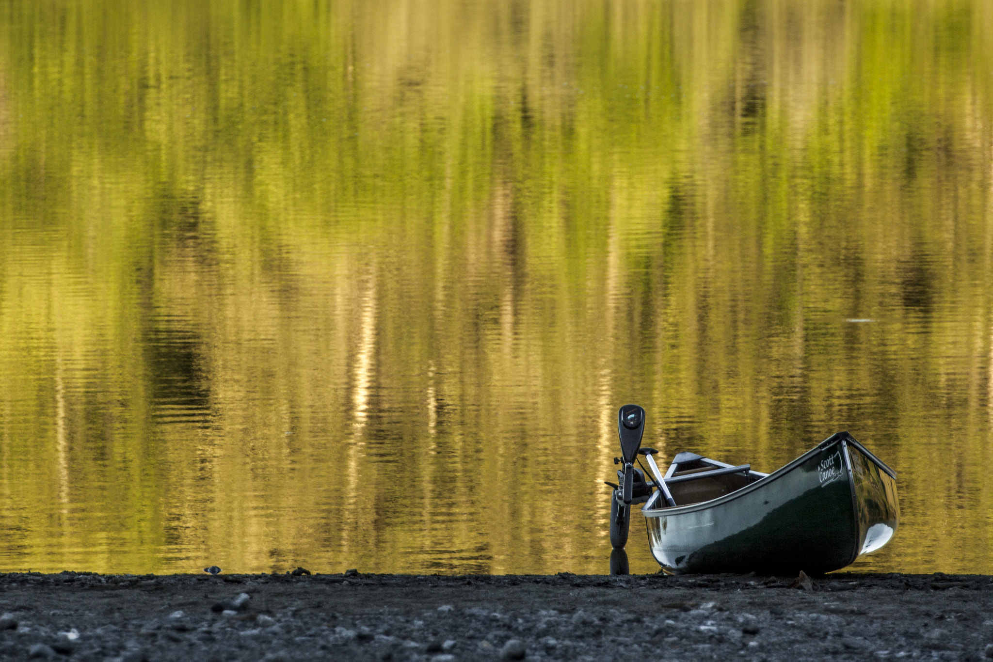 Canon EF 70-200mm F4L USM sample photo. Treeflection photography