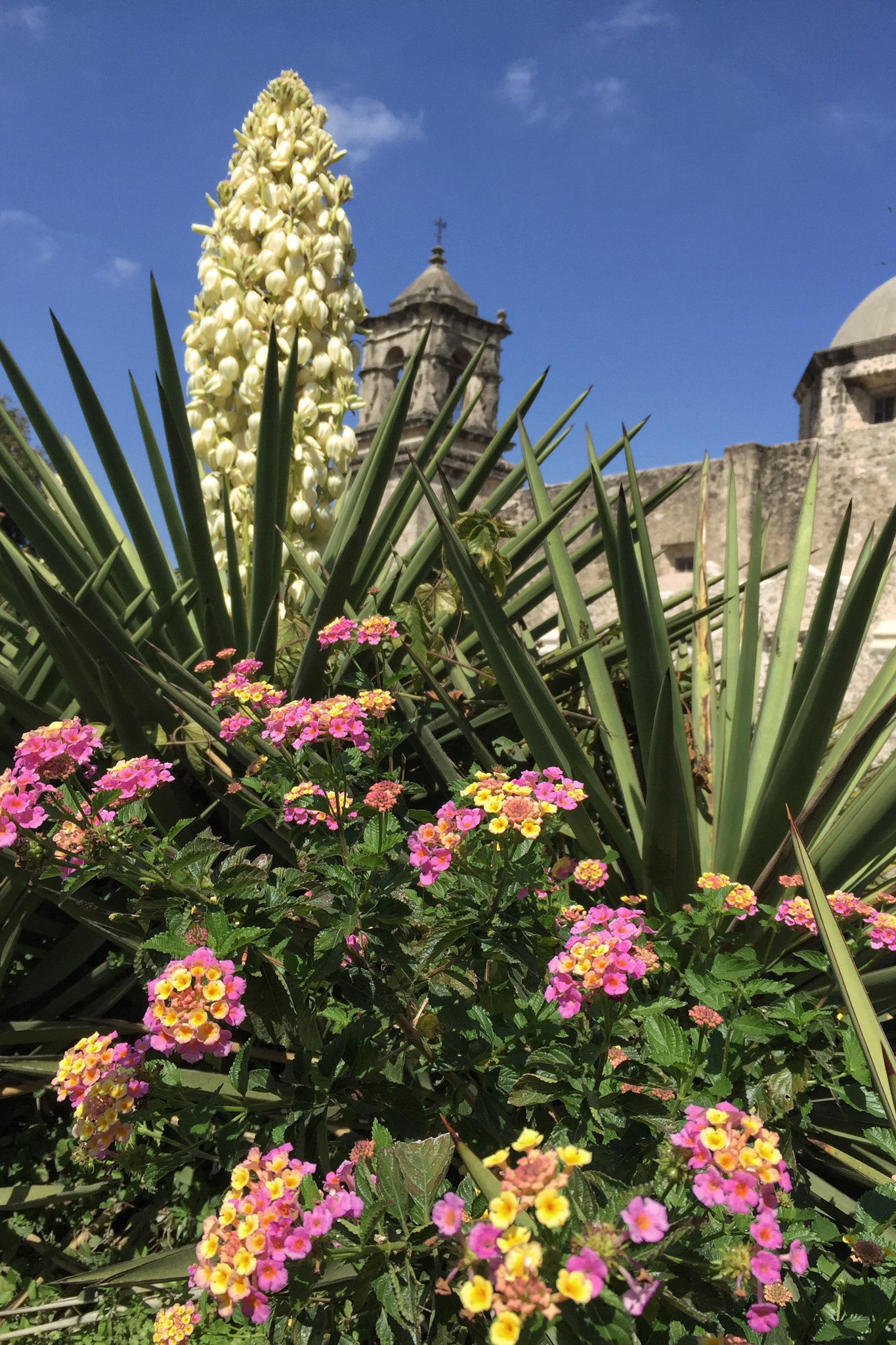 Jag.gr 645 PRO Mk III for Apple iPhone 6 Plus sample photo. Mission san jose in san antonio, texas photography