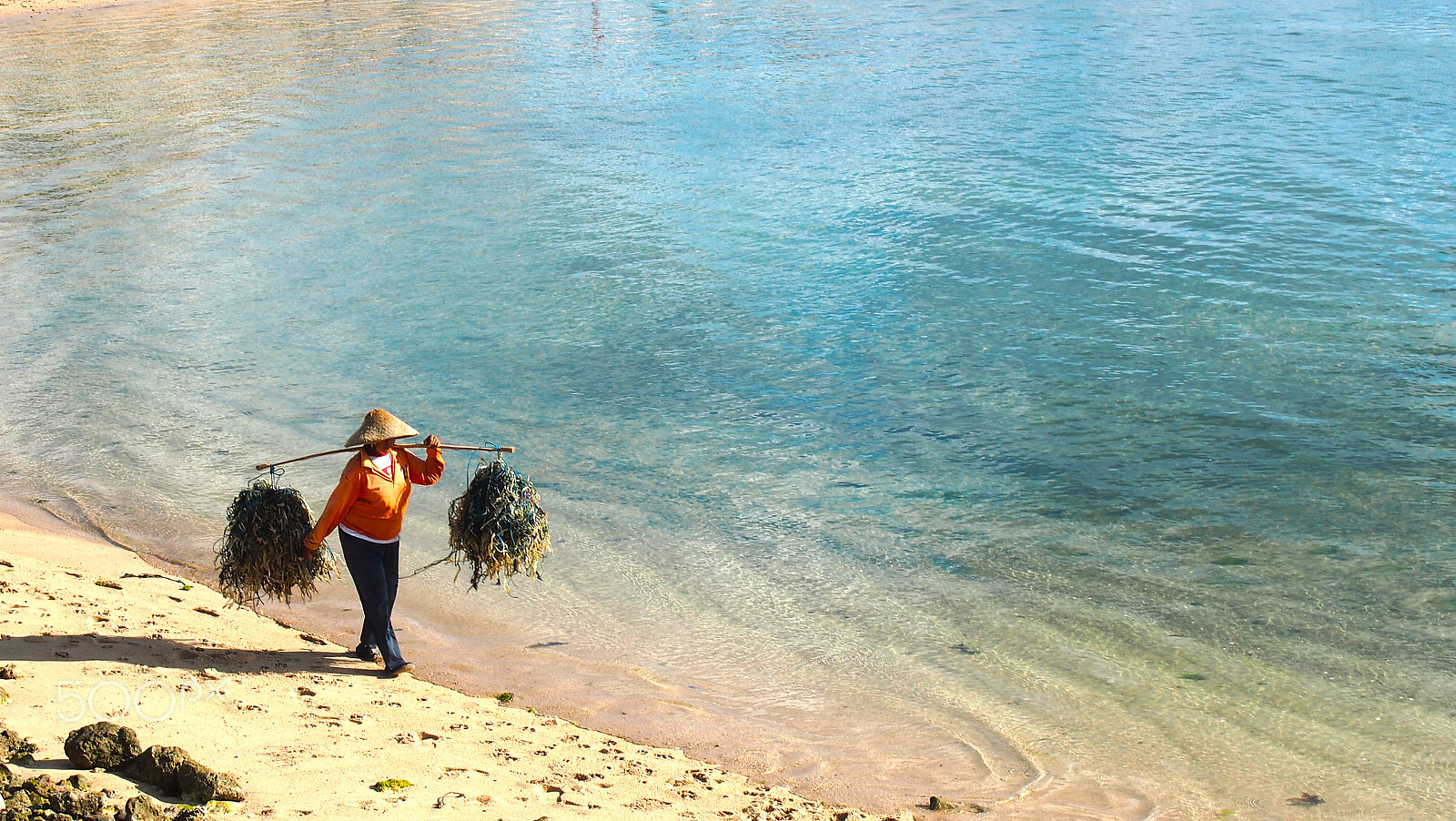 Olympus M.Zuiko Digital 14-42mm F3.5-5.6 II sample photo. Sea weed collector on nusa dua beach photography