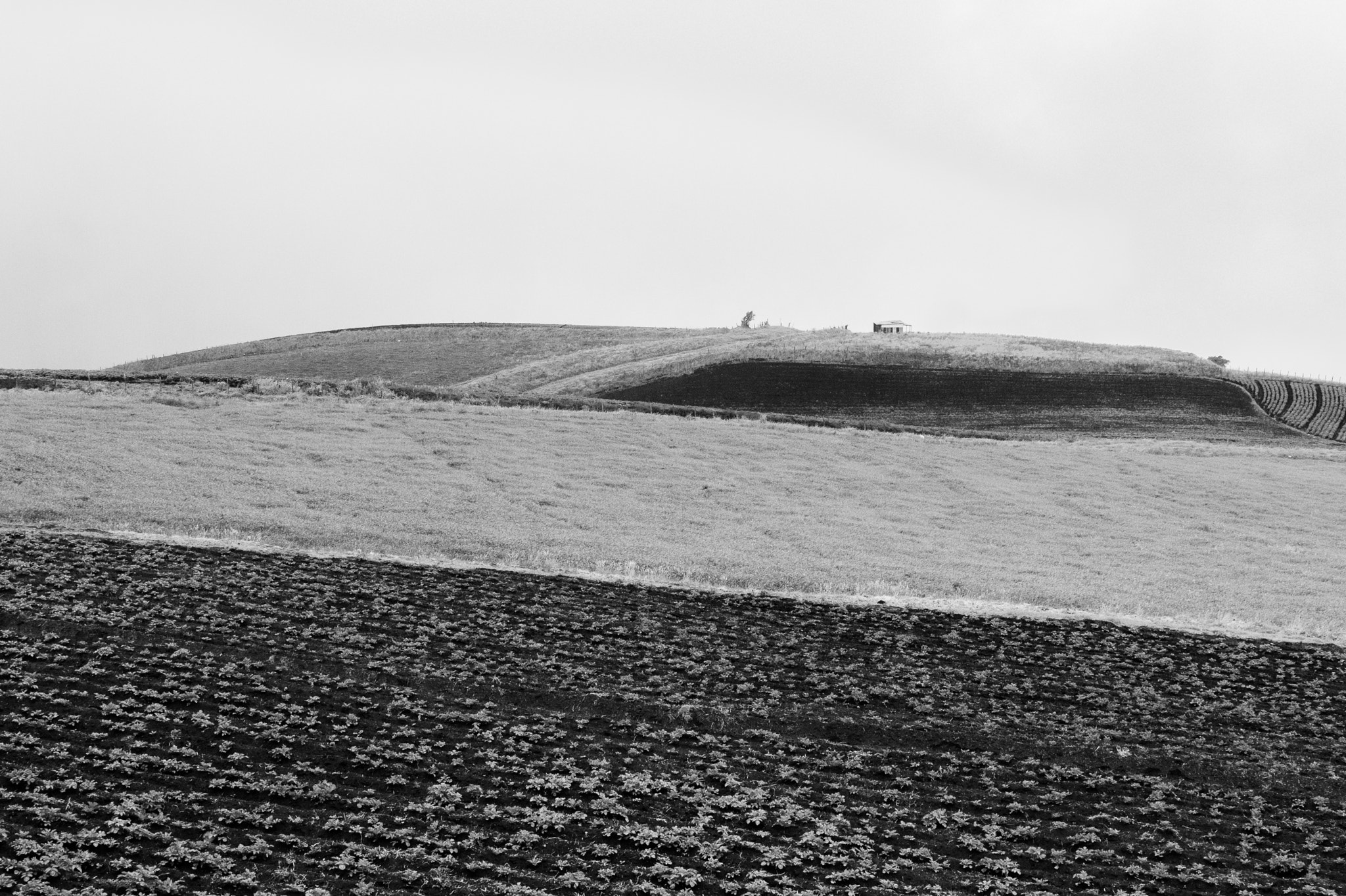 Panasonic Lumix DMC-GX1 + Panasonic Lumix G Vario 14-45mm F3.5-5.6 ASPH OIS sample photo. Farming lands photography