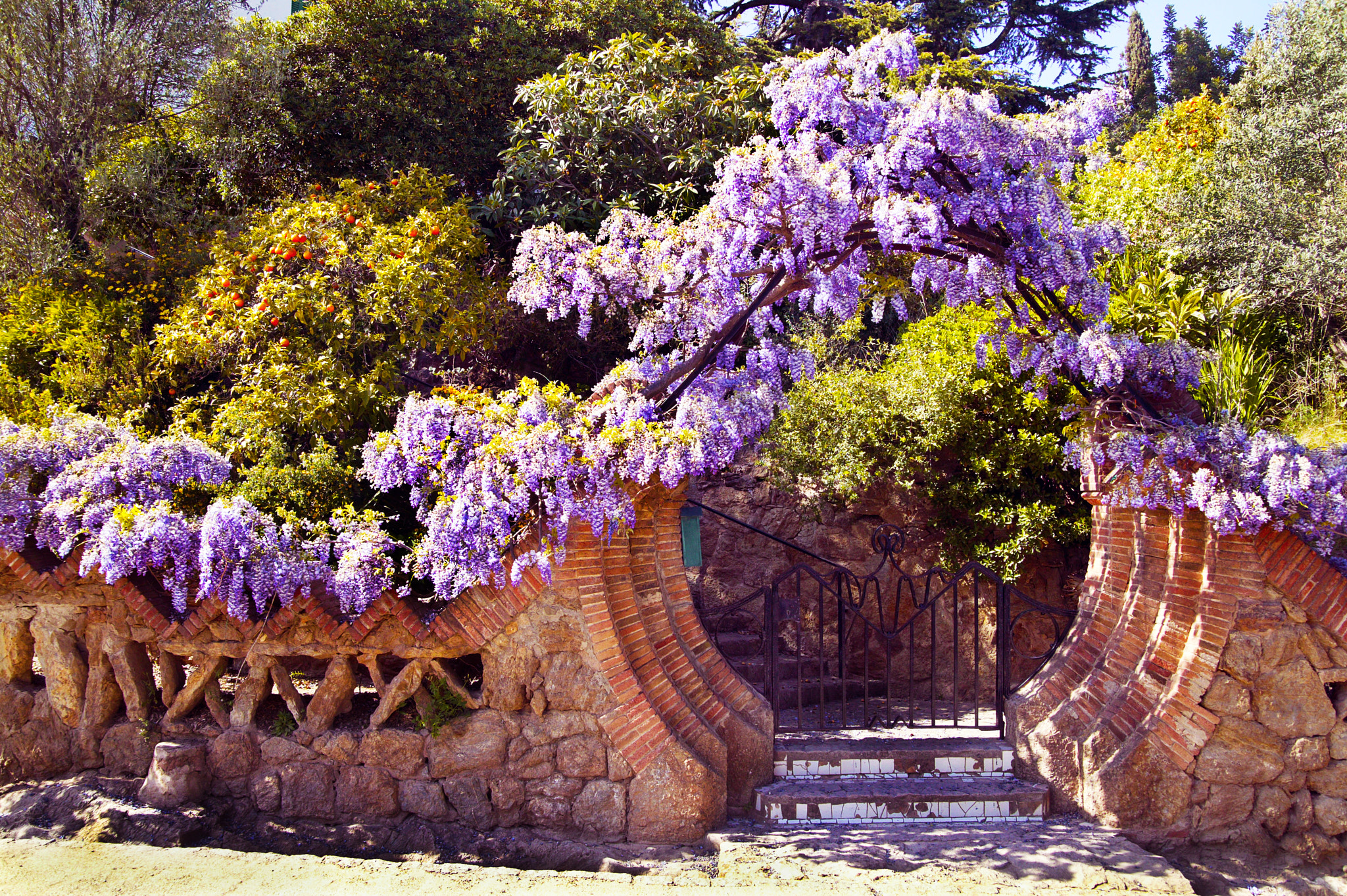 Canon EOS-1Ds sample photo. Barcelona parc guell photography