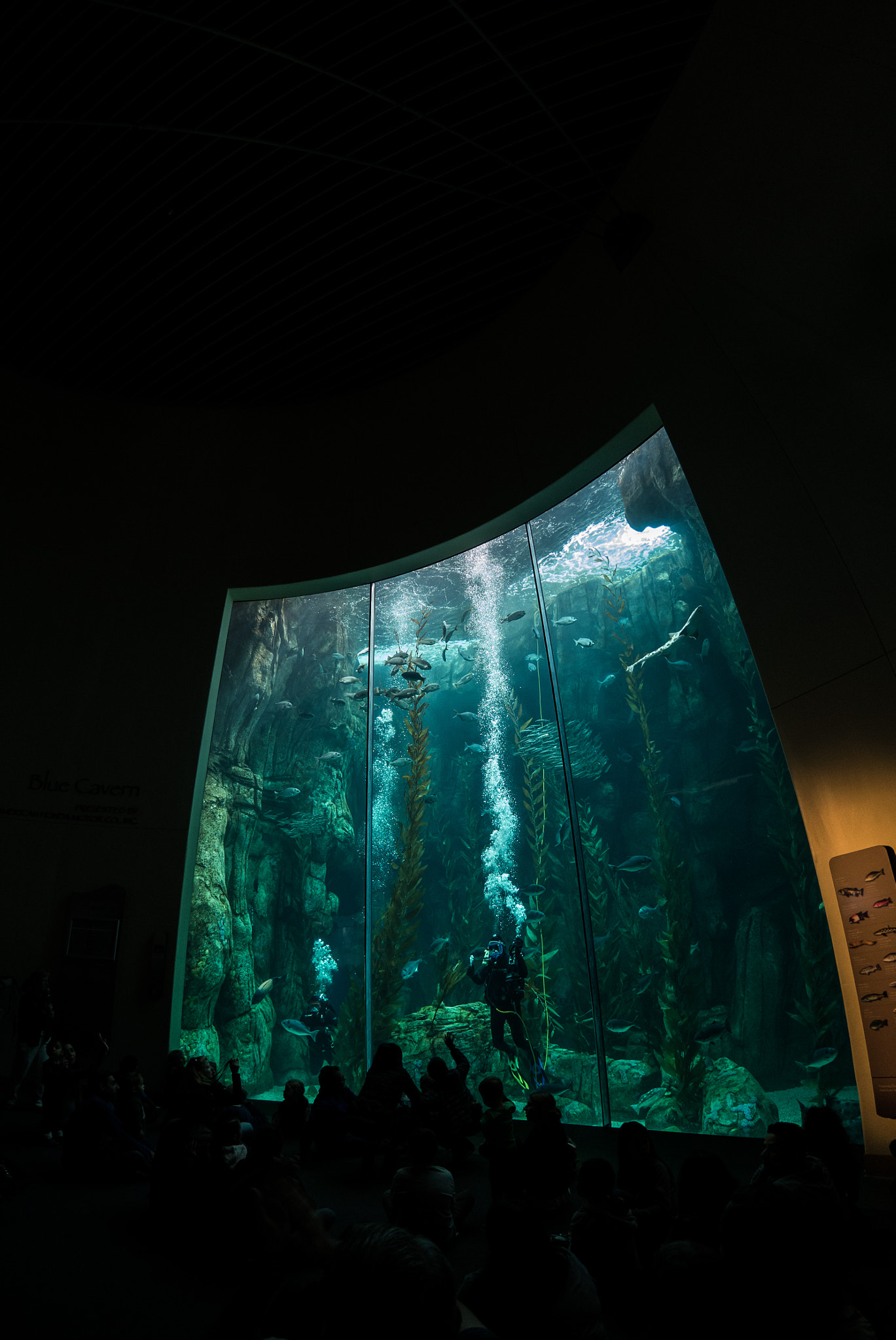 Panasonic Lumix DMC-GX7 + OLYMPUS M.8mm F1.8 sample photo. Diver talking to crowd photography