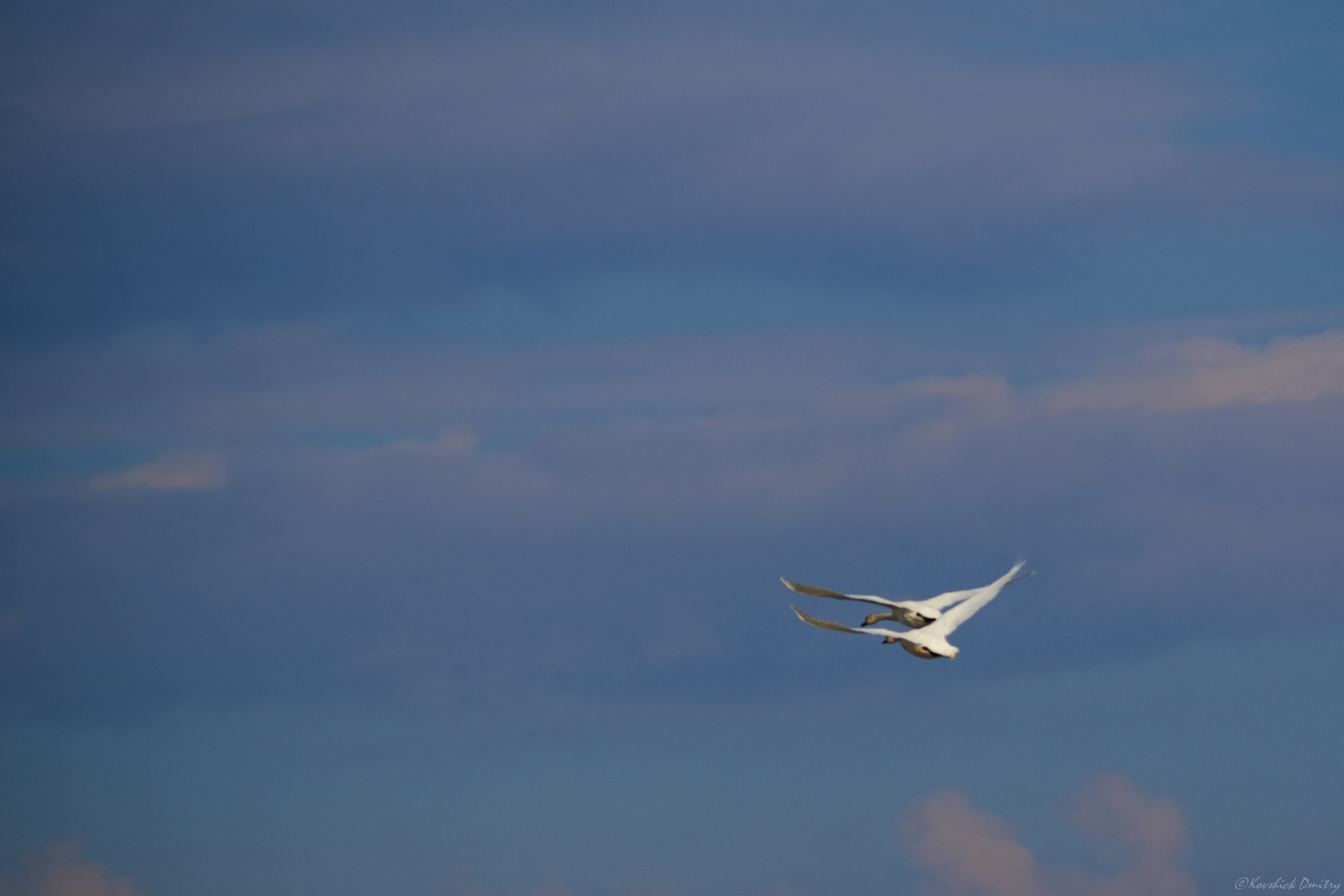 Sony SLT-A58 + Minolta AF 70-210mm F4 Macro sample photo. Sky photography