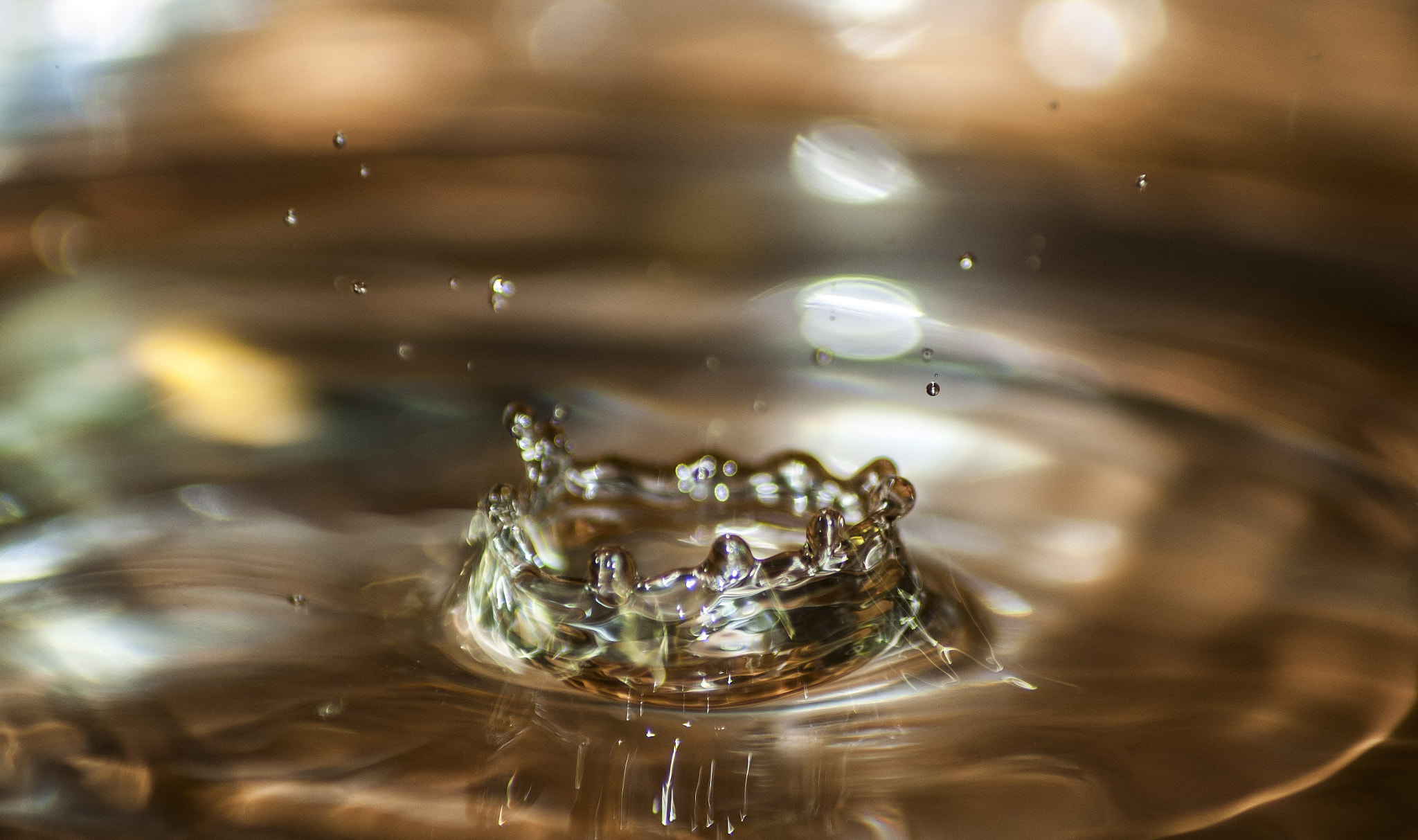 Nikon D70s sample photo. Waterdrop photography