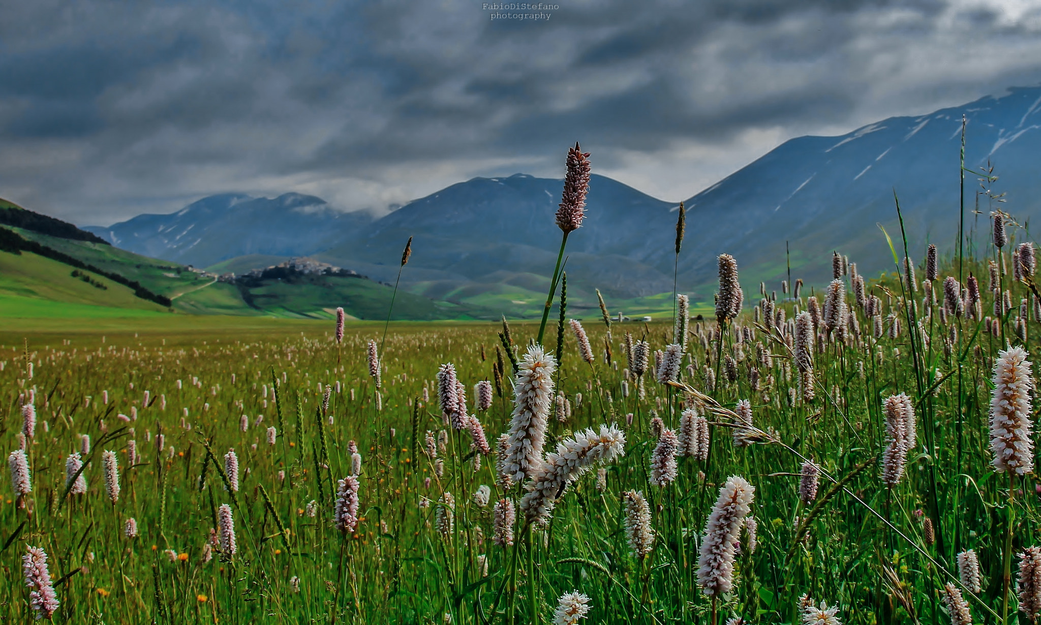 Canon EOS 1100D (EOS Rebel T3 / EOS Kiss X50) + Canon EF 24-105mm F4L IS USM sample photo. Castelluccio di norcia photography
