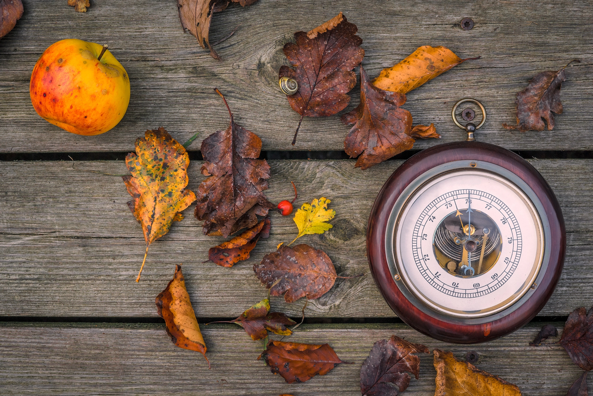 Sony a7R + Sony 50mm F1.4 sample photo. Barometer in the autumn photography