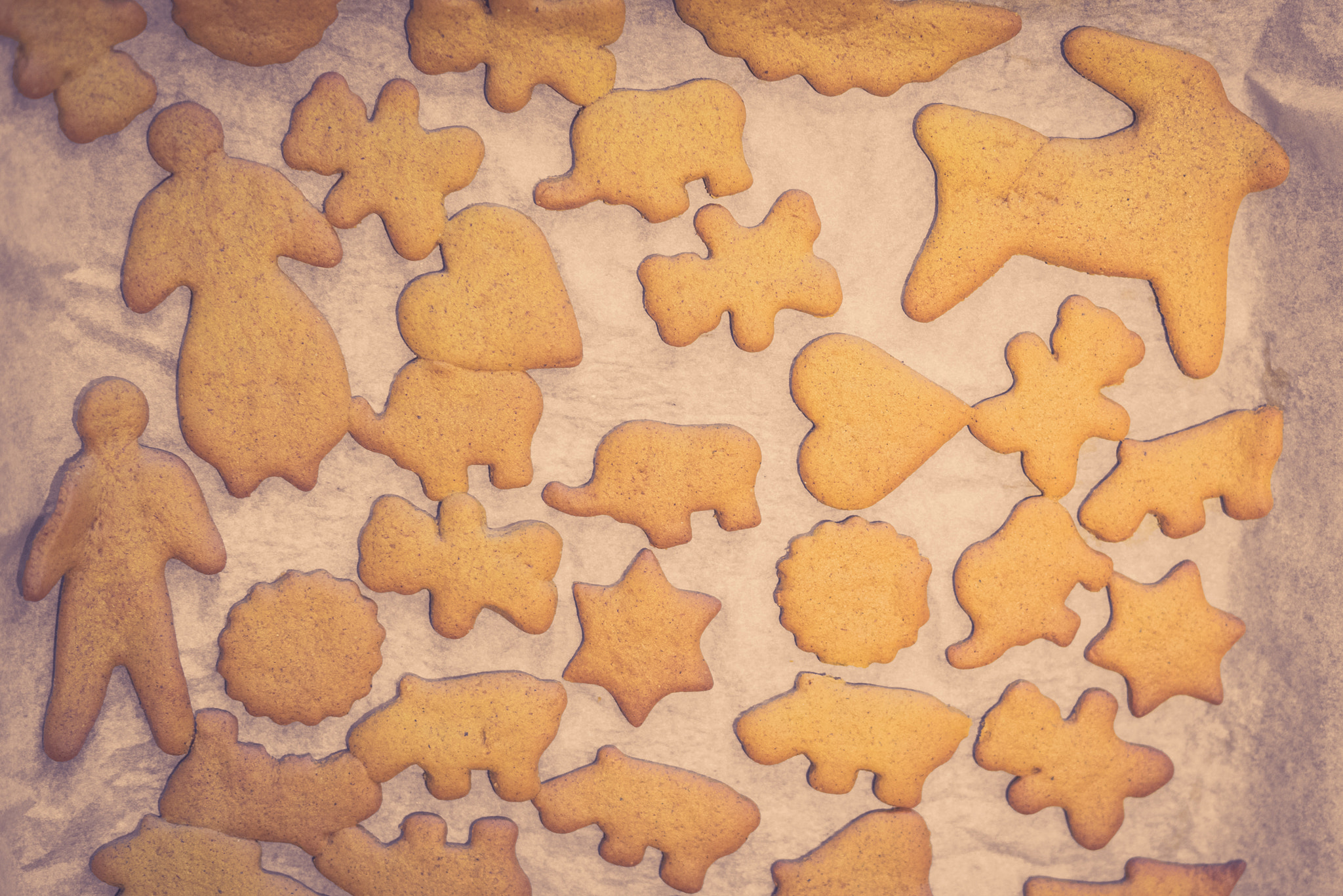 Sony a7R + Sony 50mm F1.4 sample photo. Christmas cookies on a sheet photography