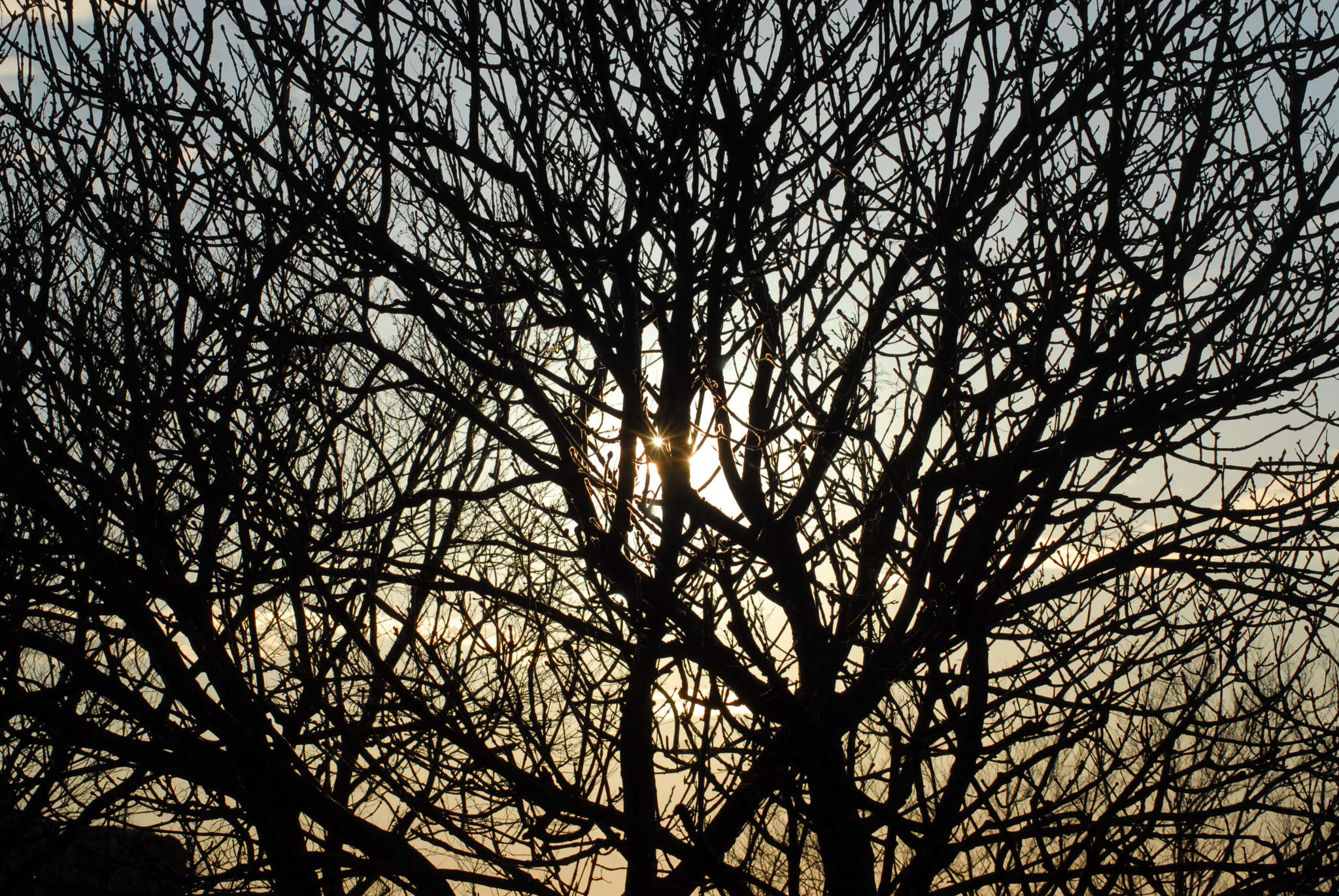 Nikon D200 sample photo. 25 photography