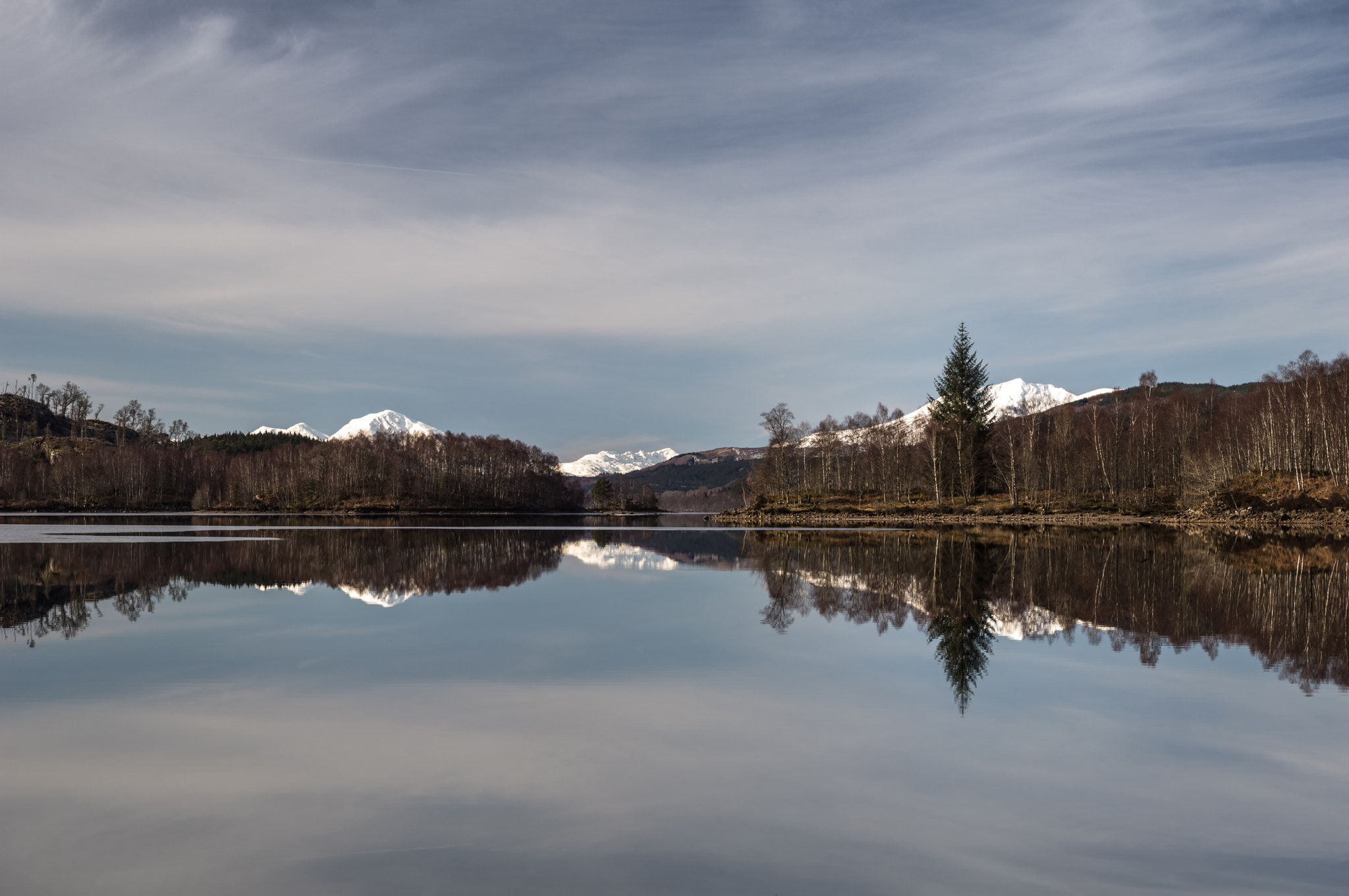 Leica S (TYP 006) + Summicron-S 100 sample photo. Pines and peaks photography