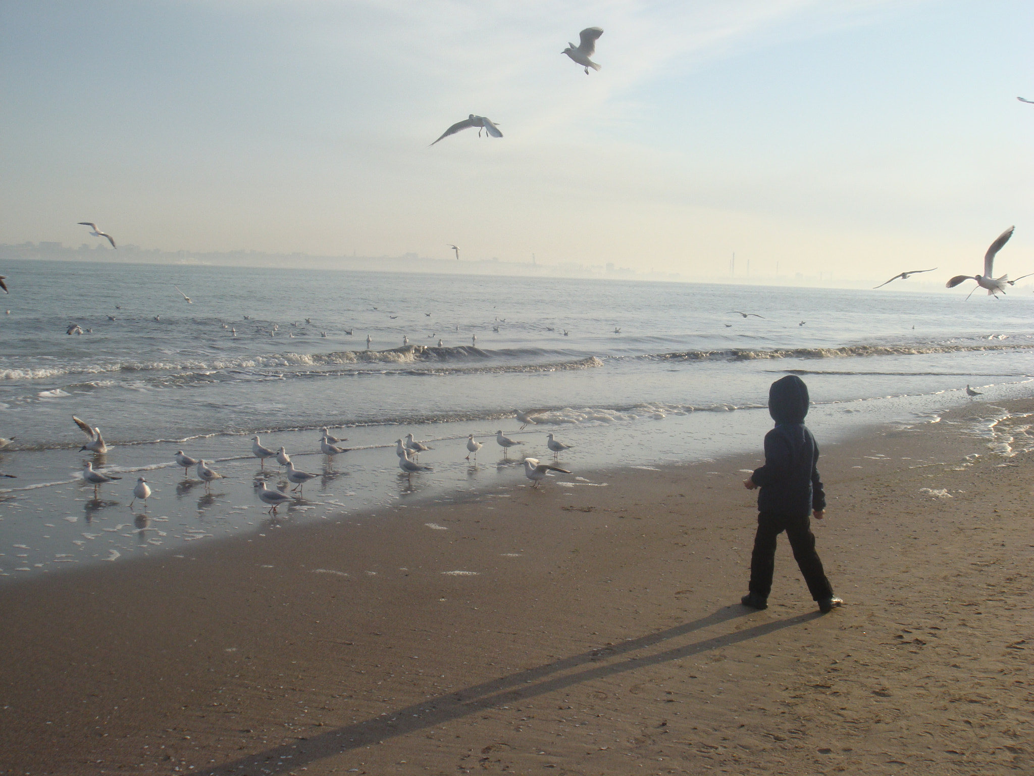 Sony DSC-T2 sample photo. A beach on march photography