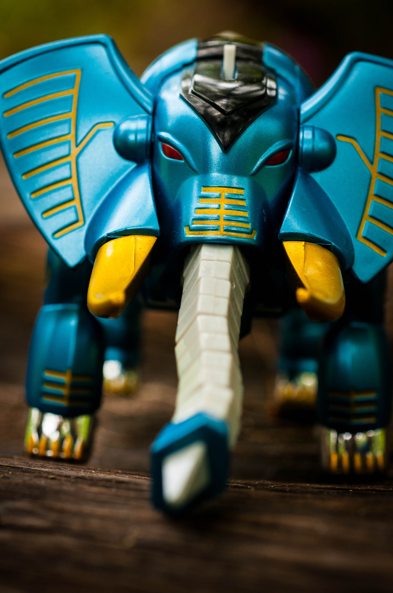 Nikon D300 + Nikon AF Micro-Nikkor 60mm F2.8D sample photo. Gaoelephant photography