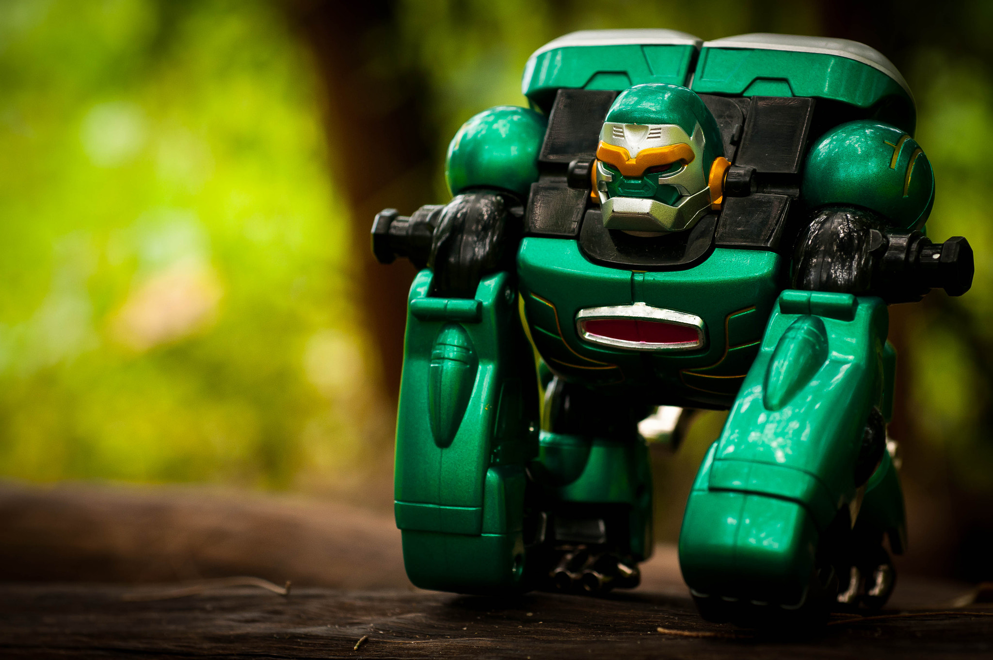 Nikon D300 + Nikon AF Micro-Nikkor 60mm F2.8D sample photo. Gaogorilla photography