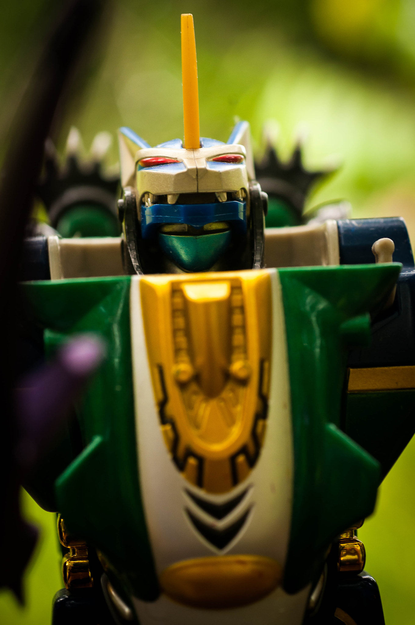 Nikon D300 + Nikon AF Micro-Nikkor 60mm F2.8D sample photo. Gaohunter photography