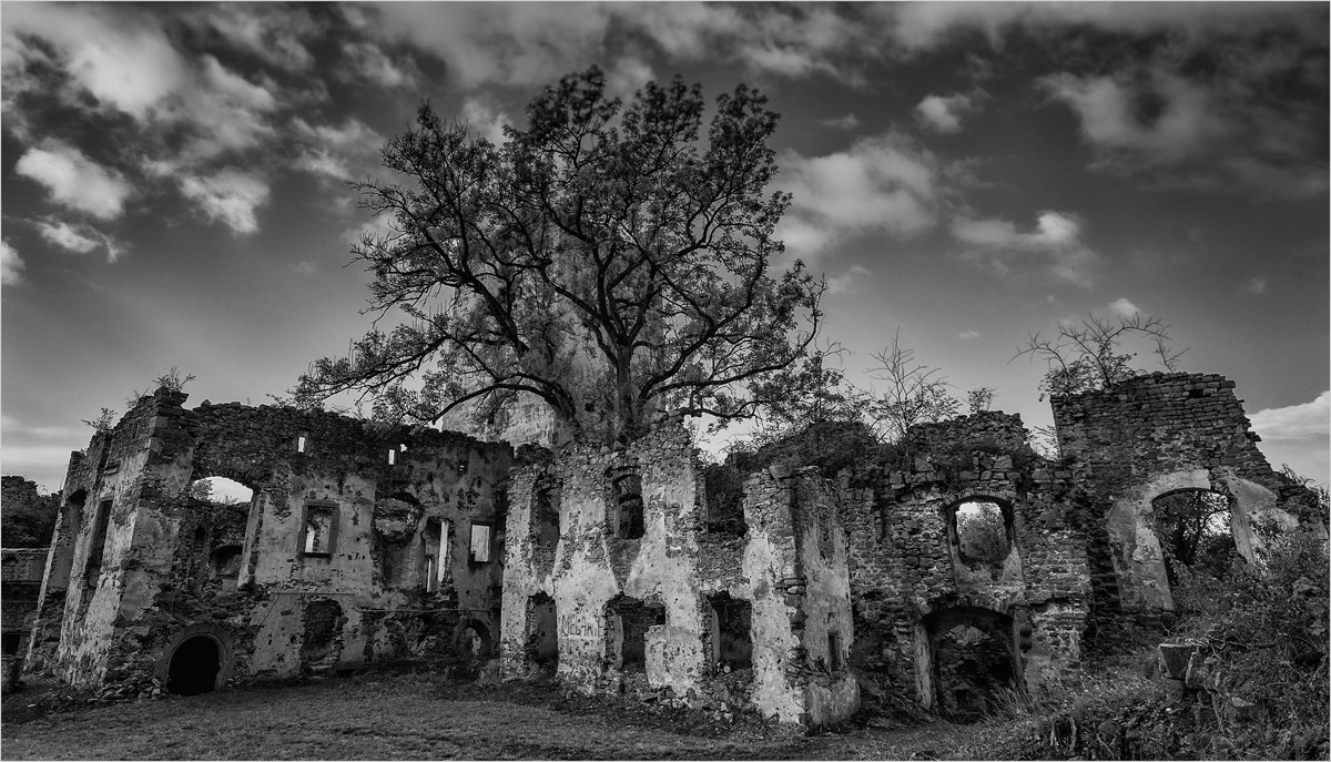 Sigma 10-20mm F4-5.6 EX DC HSM sample photo. Ruin photography