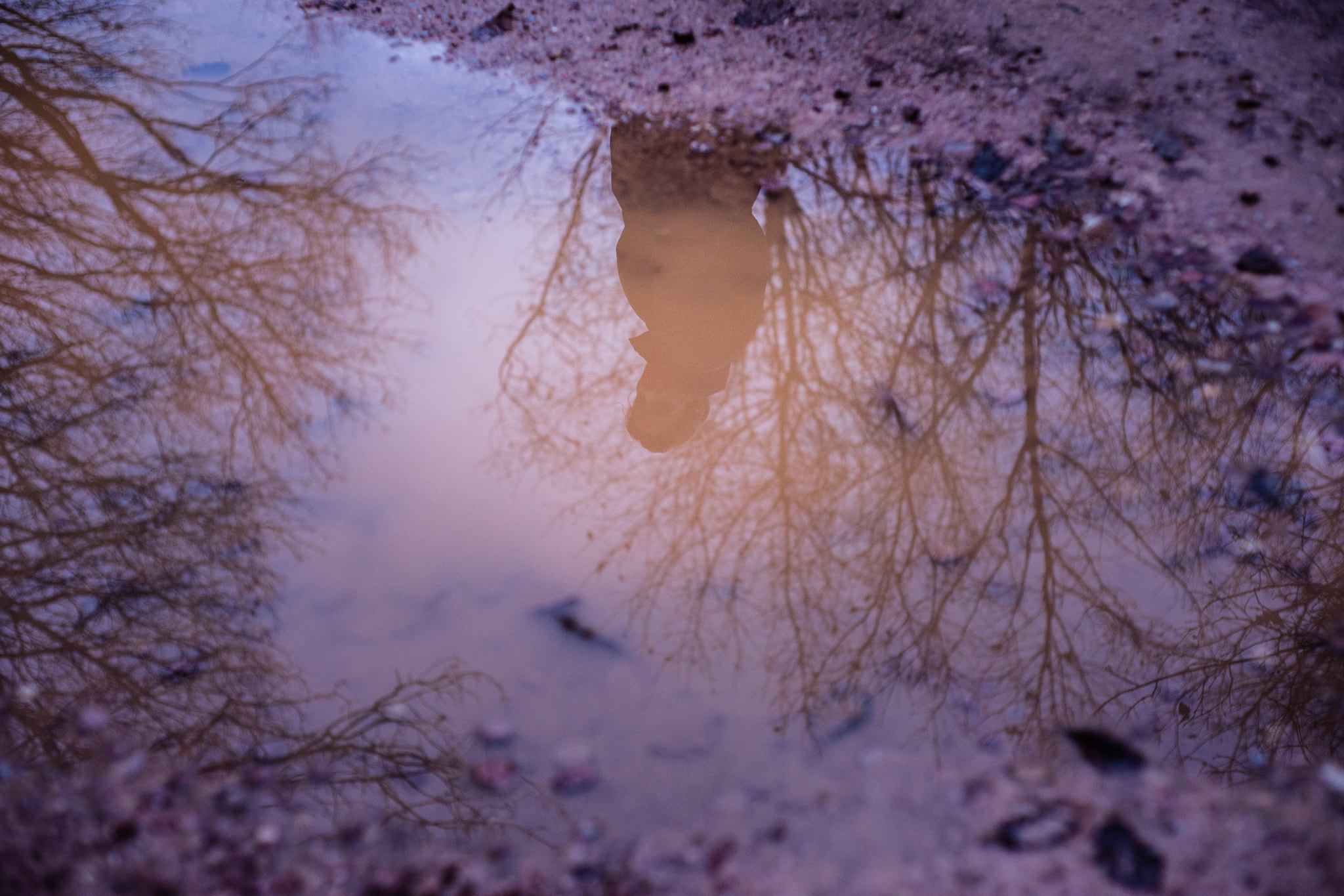 Sony Alpha DSLR-A850 + Minolta AF 50mm F1.7 New sample photo. Your picture in a puddle photography