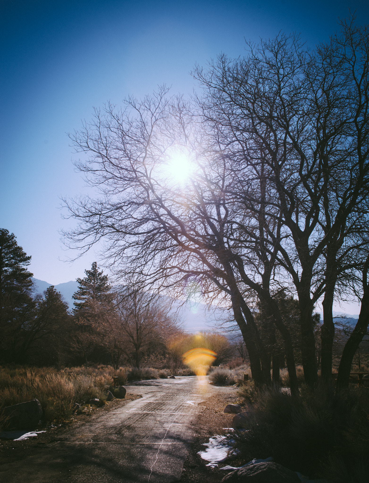 AF Zoom-Nikkor 35-70mm f/2.8 sample photo. Seven pines campground, sierra nevada photography