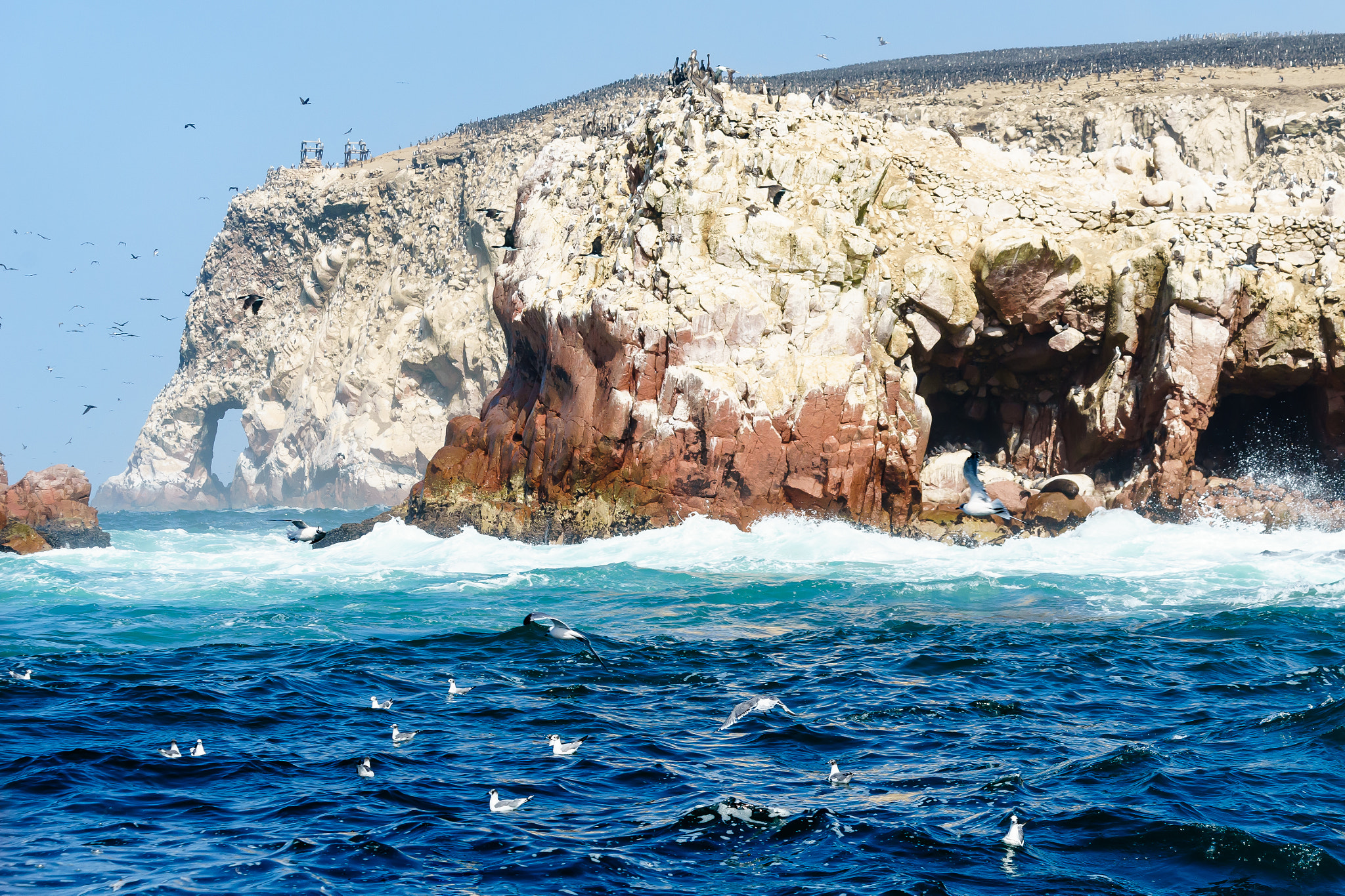 Canon EF 70-300mm F4-5.6 IS USM sample photo. Isla d'o guano photography