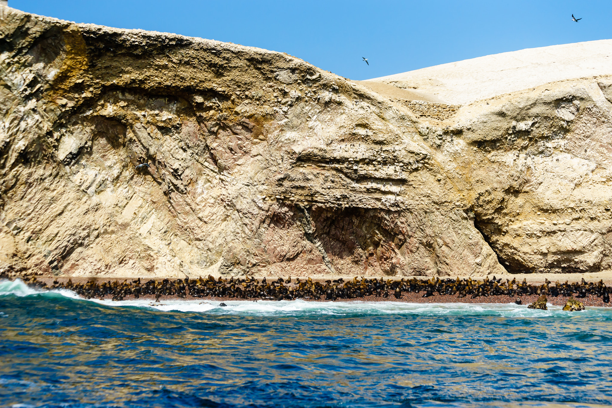 Canon EF 70-300mm F4-5.6 IS USM sample photo. Lobos marins 2 photography