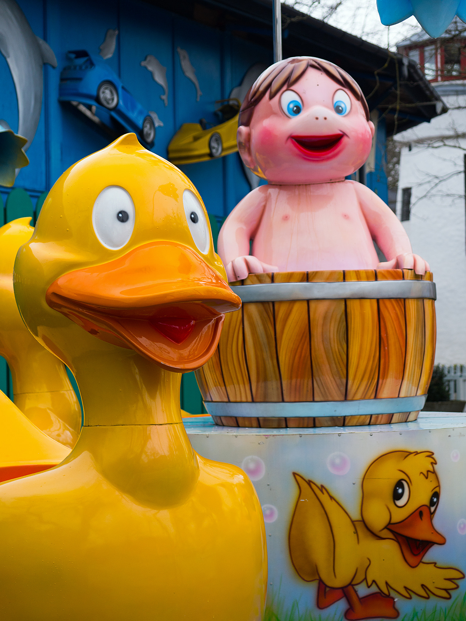 Panasonic Lumix G X Vario 35-100mm F2.8 OIS sample photo. Bakken, duck photography