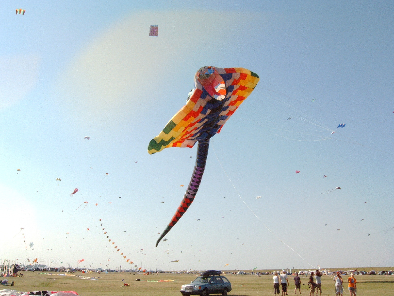 CAMERA 4MP-859 sample photo. Dragon-fly by cuxhaven g.t. photography