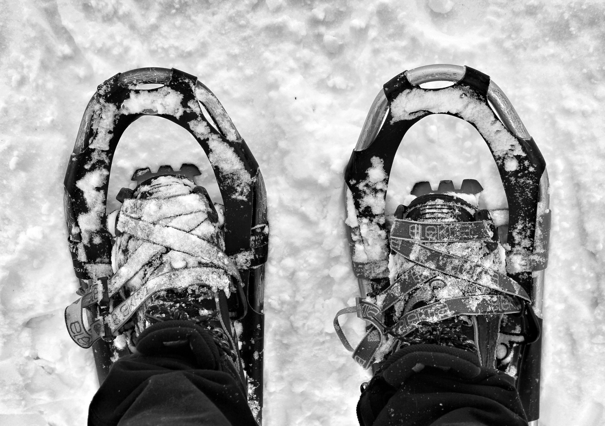 Canon EF-S 18-55mm F3.5-5.6 IS sample photo. First time snow shoeing photography
