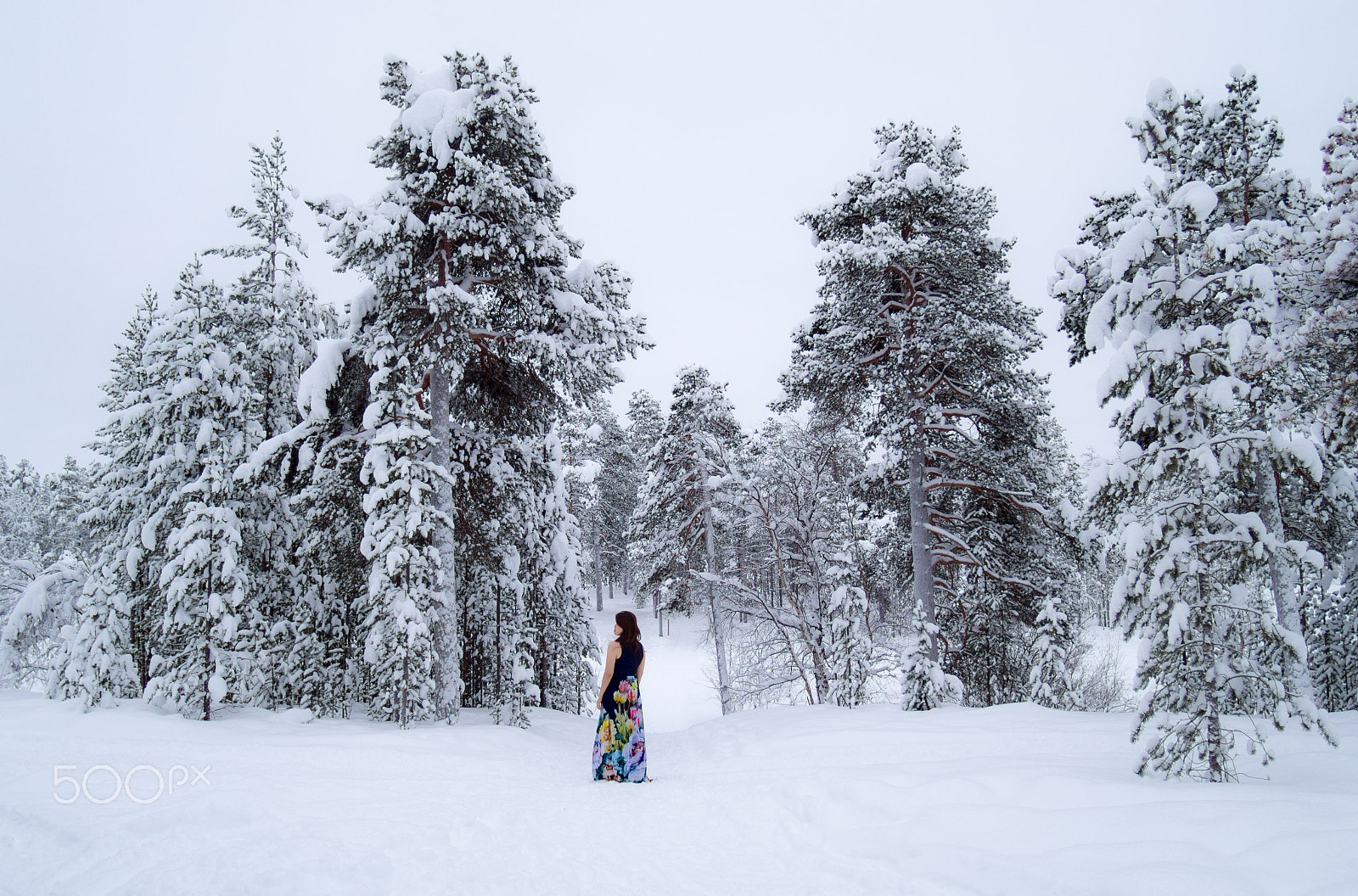 Olympus OM-D E-M5 sample photo. Floral girl in snow forest photography