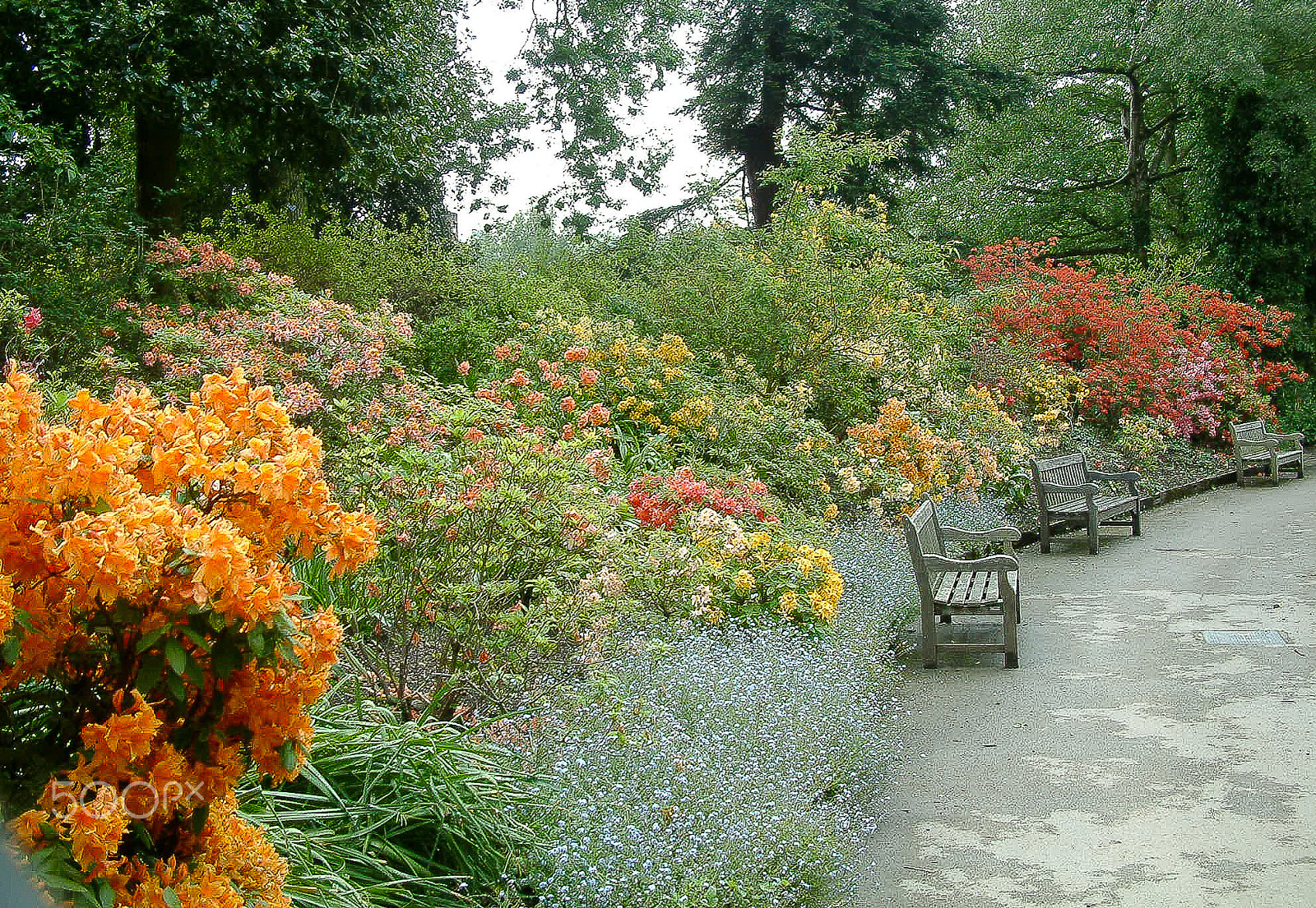 Fujifilm FinePix S602 ZOOM sample photo. Botanic garden (of ) photography