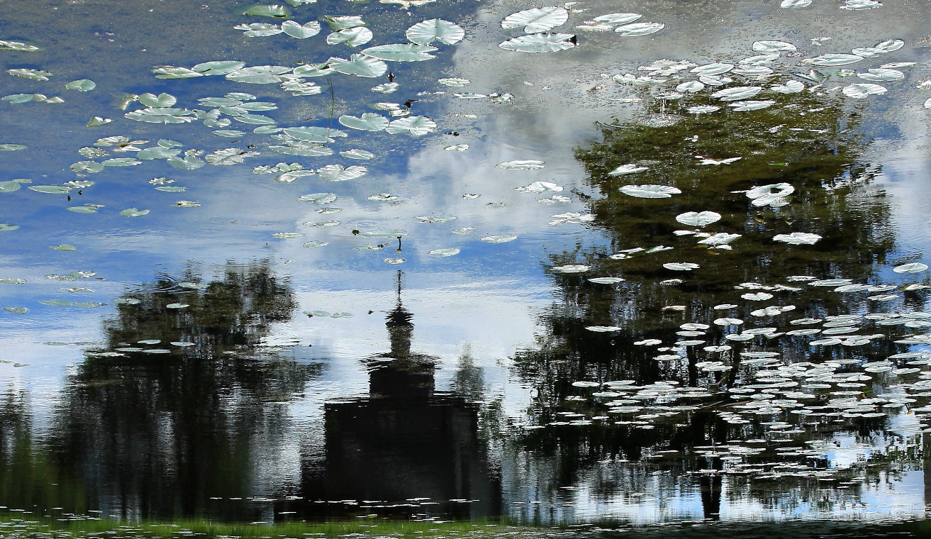 Canon EF 17-40mm F4L USM sample photo. Aquatic impressionism № 202 photography