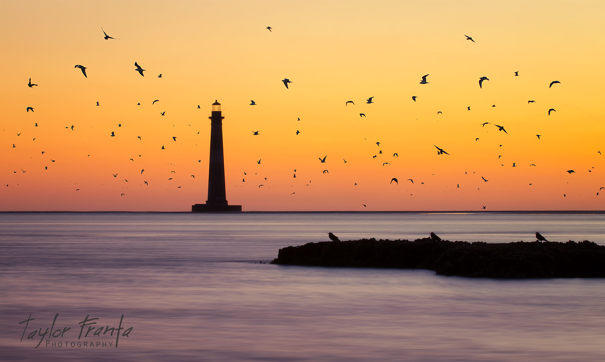 Pentax K-5 sample photo. Birds in flight photography