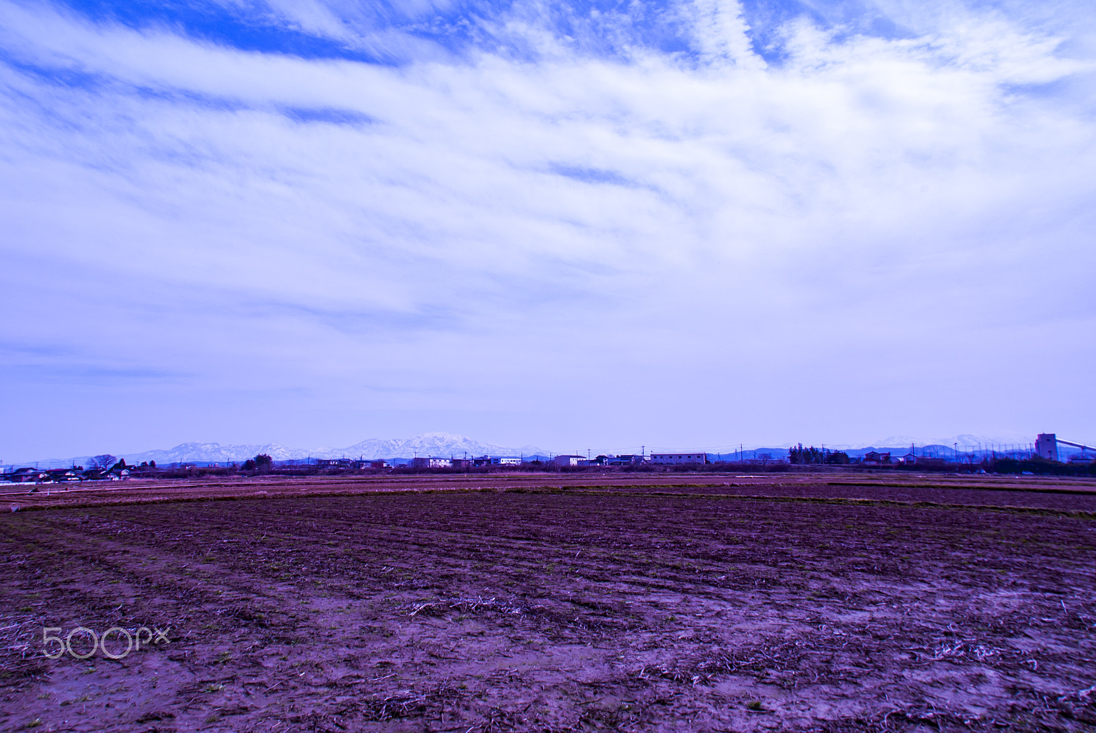 Tamron AF 18-200mm F3.5-6.3 XR Di II LD Aspherical (IF) Macro sample photo. " 春を待つ田園 "the country which waits for the spring photography