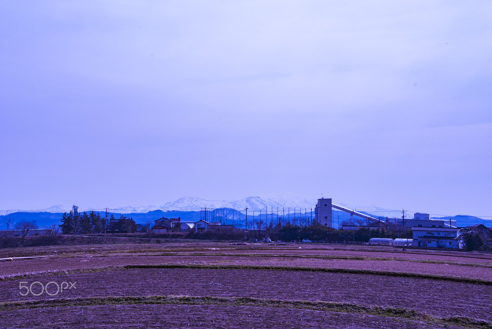 smc PENTAX-DA L 55-300mm F4-5.8 ED sample photo. " 春を待つ田園 "the country which waits for the spring photography