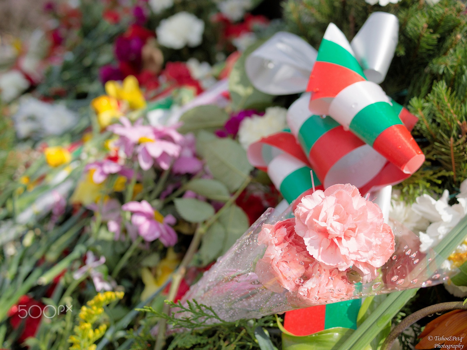 Olympus OM-D E-M5 + LUMIX G 20/F1.7 II sample photo. March 3rd – bulgaria’s national holiday 2 photography