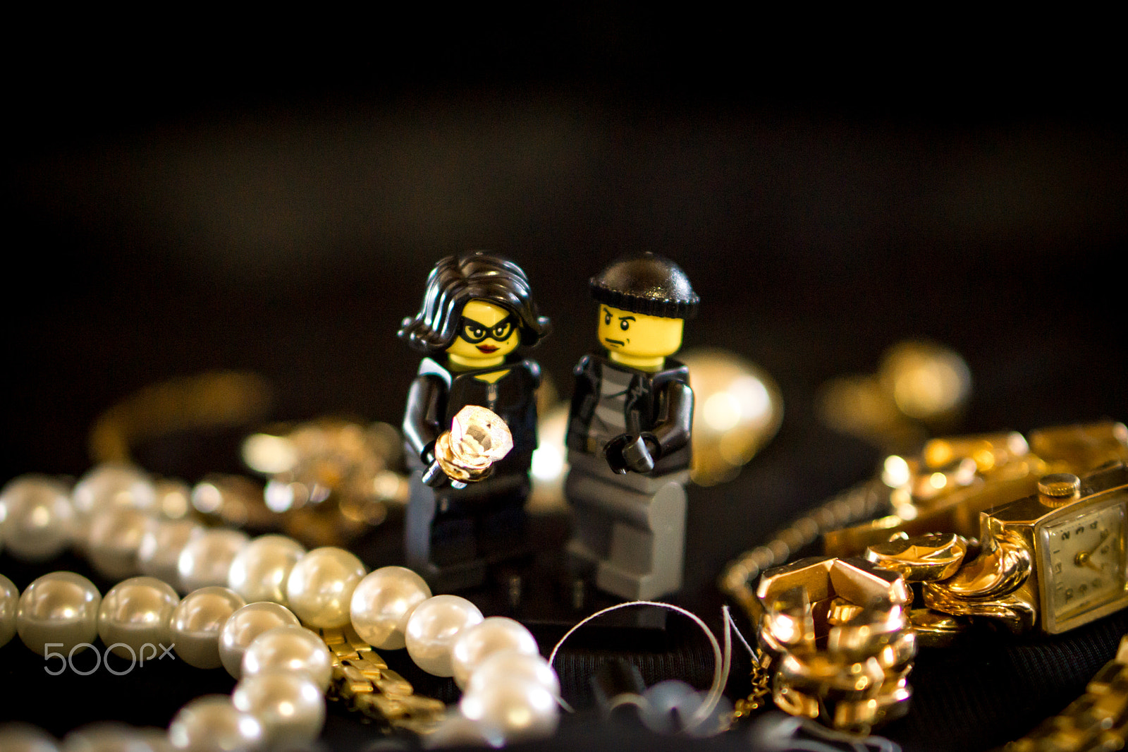 Sony a5100 + E 50mm F1.8 OSS sample photo. The jewel thiefs photography