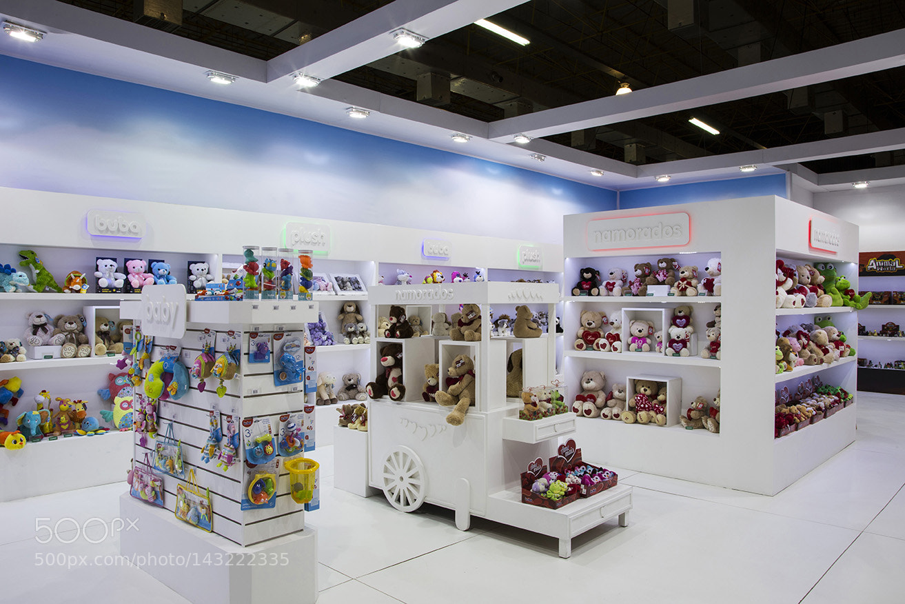 Canon EOS 6D sample photo. Copy photography