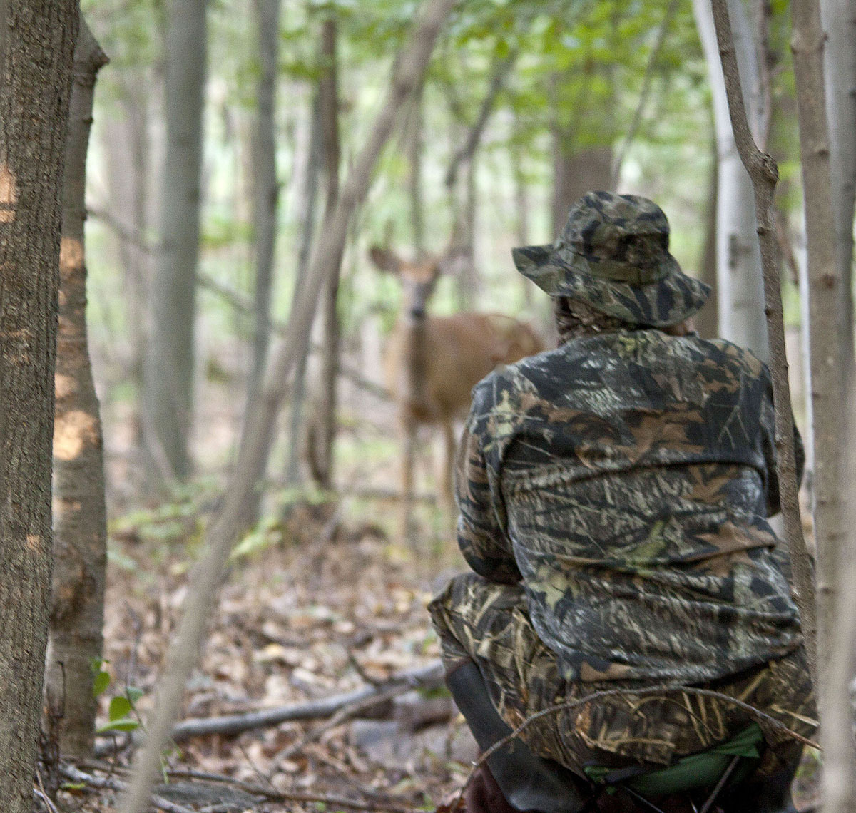 Sigma 150-500mm F5-6.3 DG OS HSM sample photo. Deer watcher photography