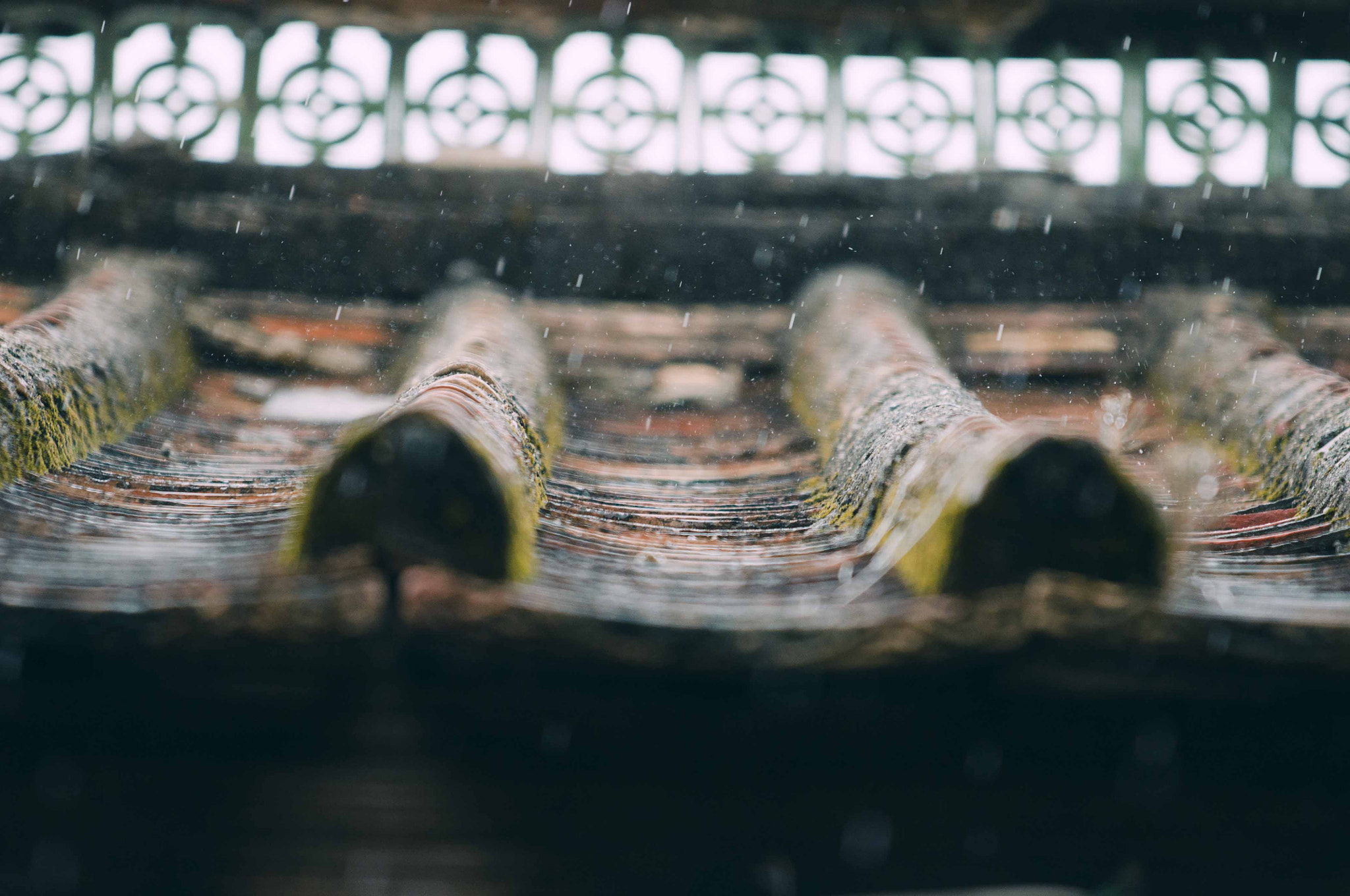 Nikon AF-S Nikkor 70-200mm F4G ED VR sample photo. Old house roof of south china photography