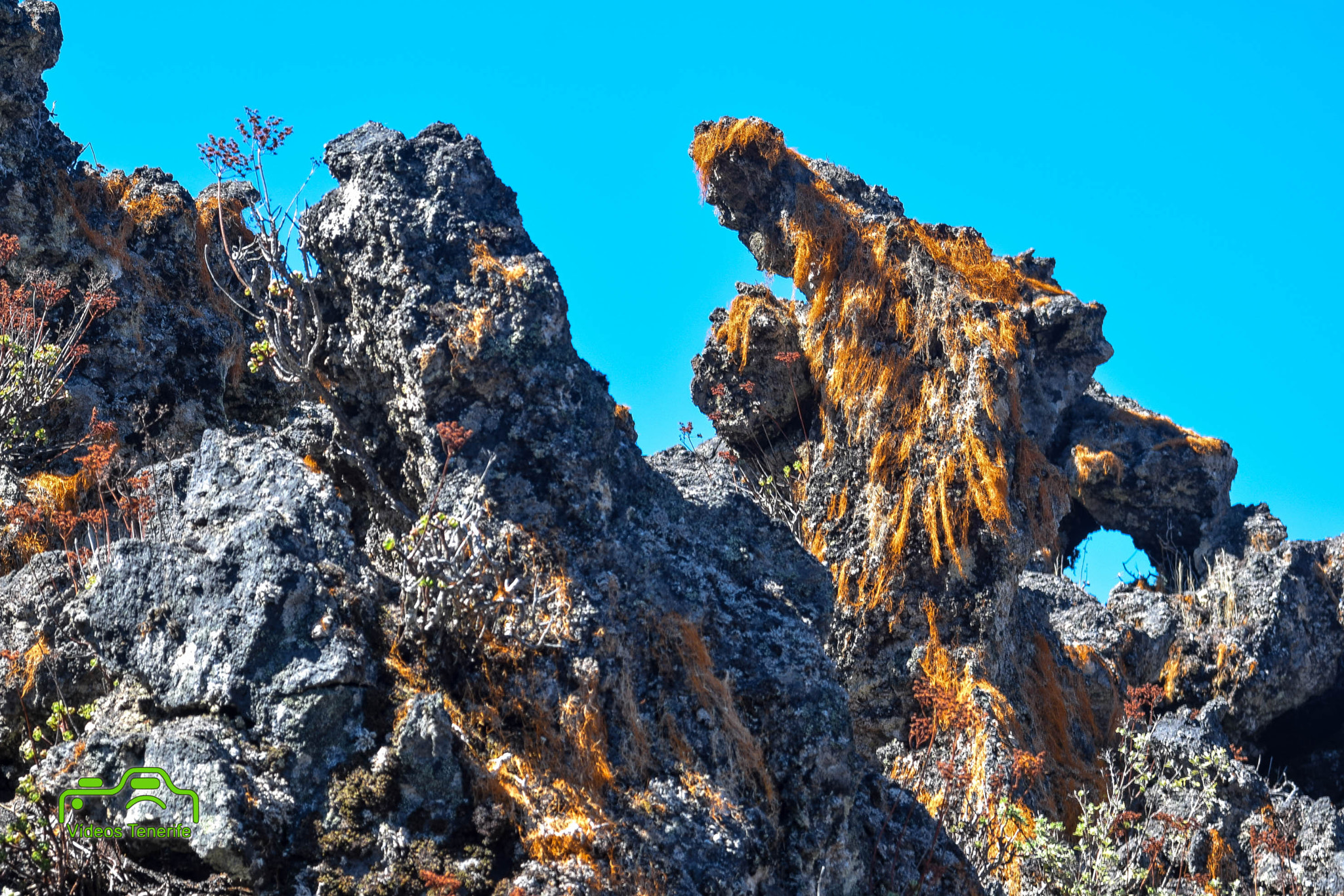 AF Zoom-Nikkor 28-80mm f/3.3-5.6G sample photo. Piedras volcanicas arenas negras photography