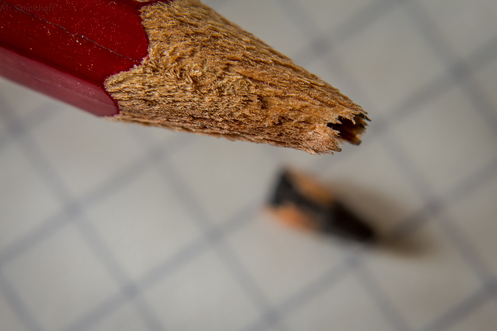 Canon EF-S 60mm F2.8 Macro USM sample photo. Lost pb photography
