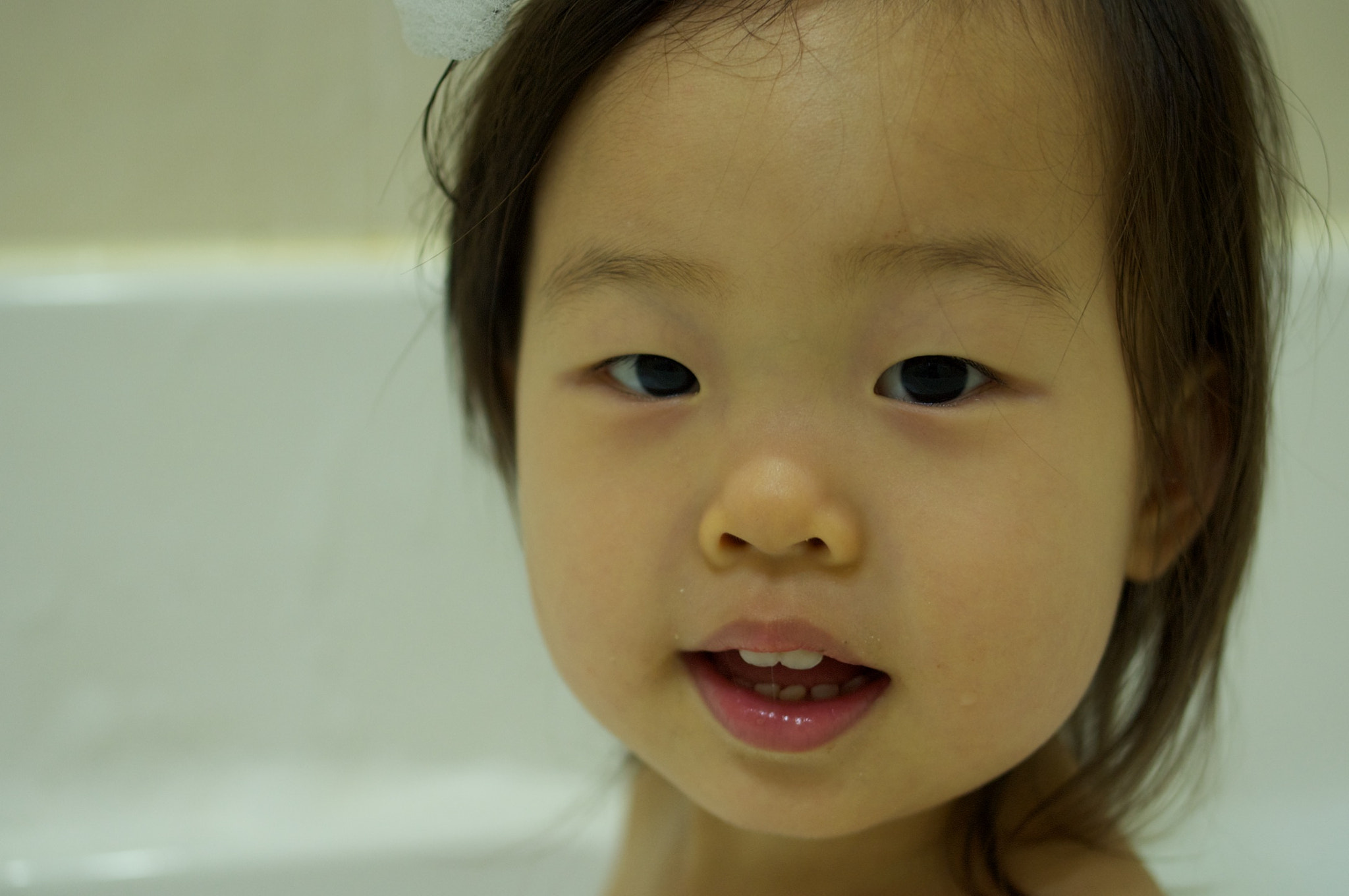 Pentax K-r + Pentax smc DA 35mm F2.4 AL sample photo