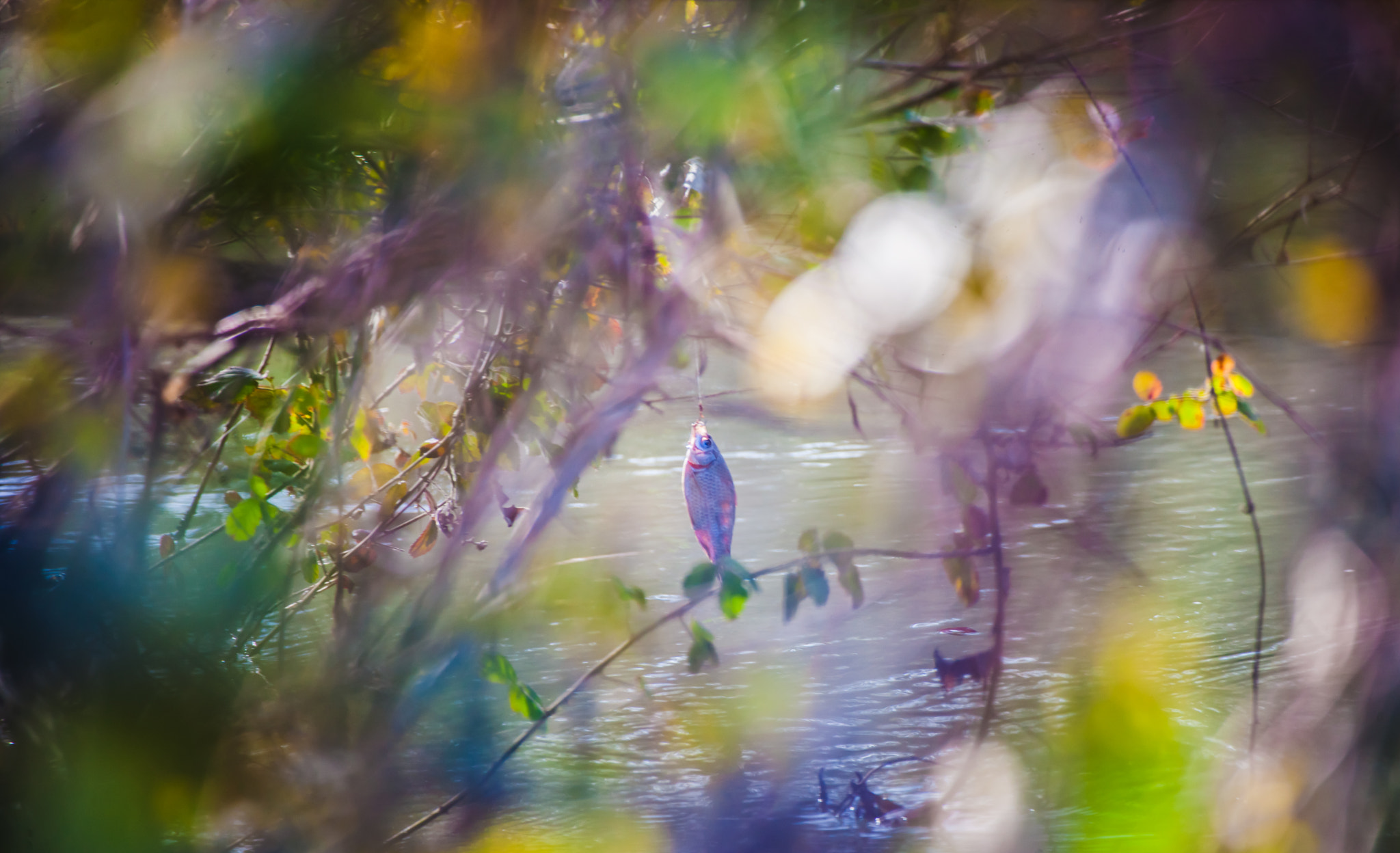 Canon EOS-1Ds Mark III sample photo. Fishing photography