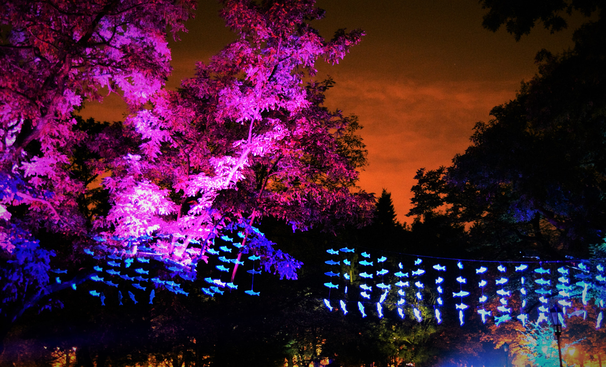 Sony Alpha DSLR-A300 sample photo. Light move festival lodz photography