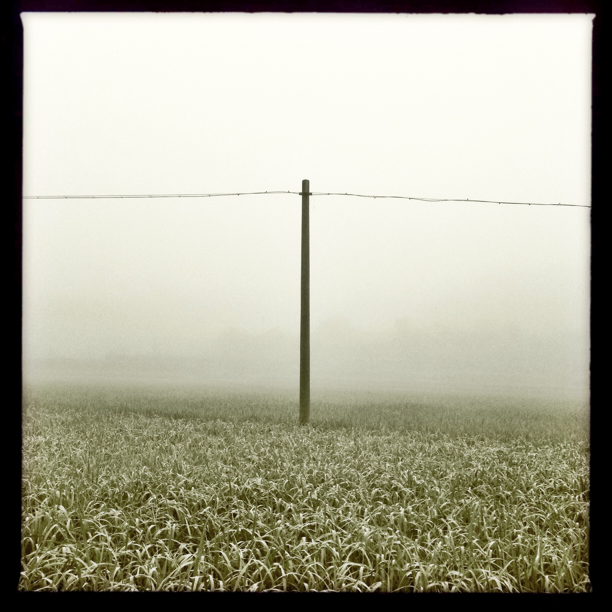 Hipstamatic 277 sample photo. Field in the haze photography