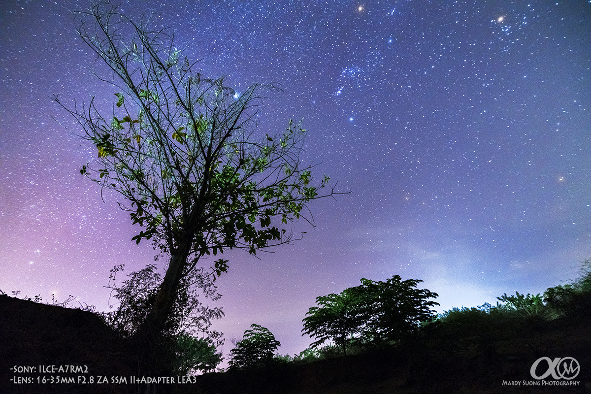 Sony Vario-Sonnar T* 16-35mm F2.8 ZA SSM II sample photo. Starry night at pialin province! (ខេត្តប៉ៃលិន) photography