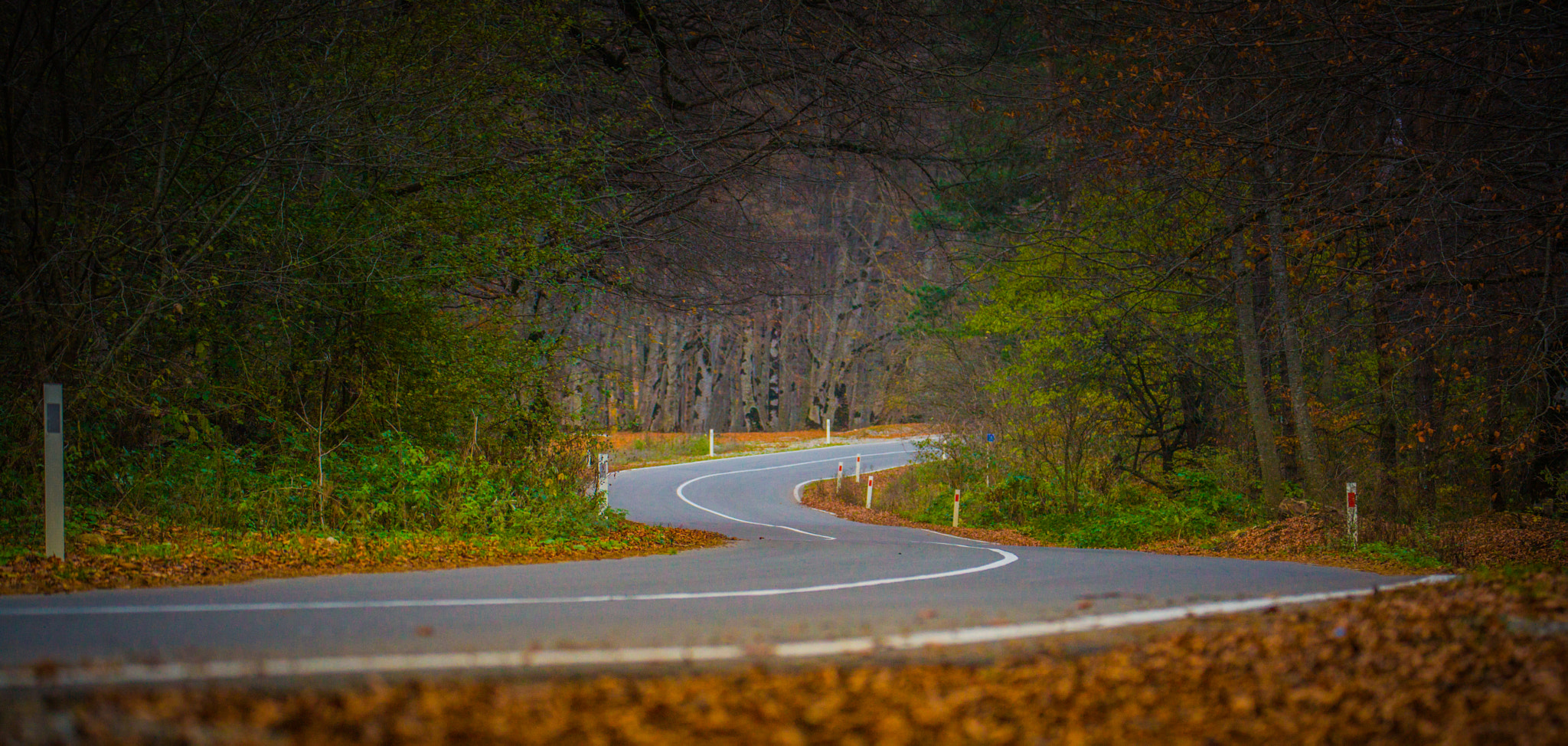 Canon EOS-1Ds Mark III sample photo. Autumn photography