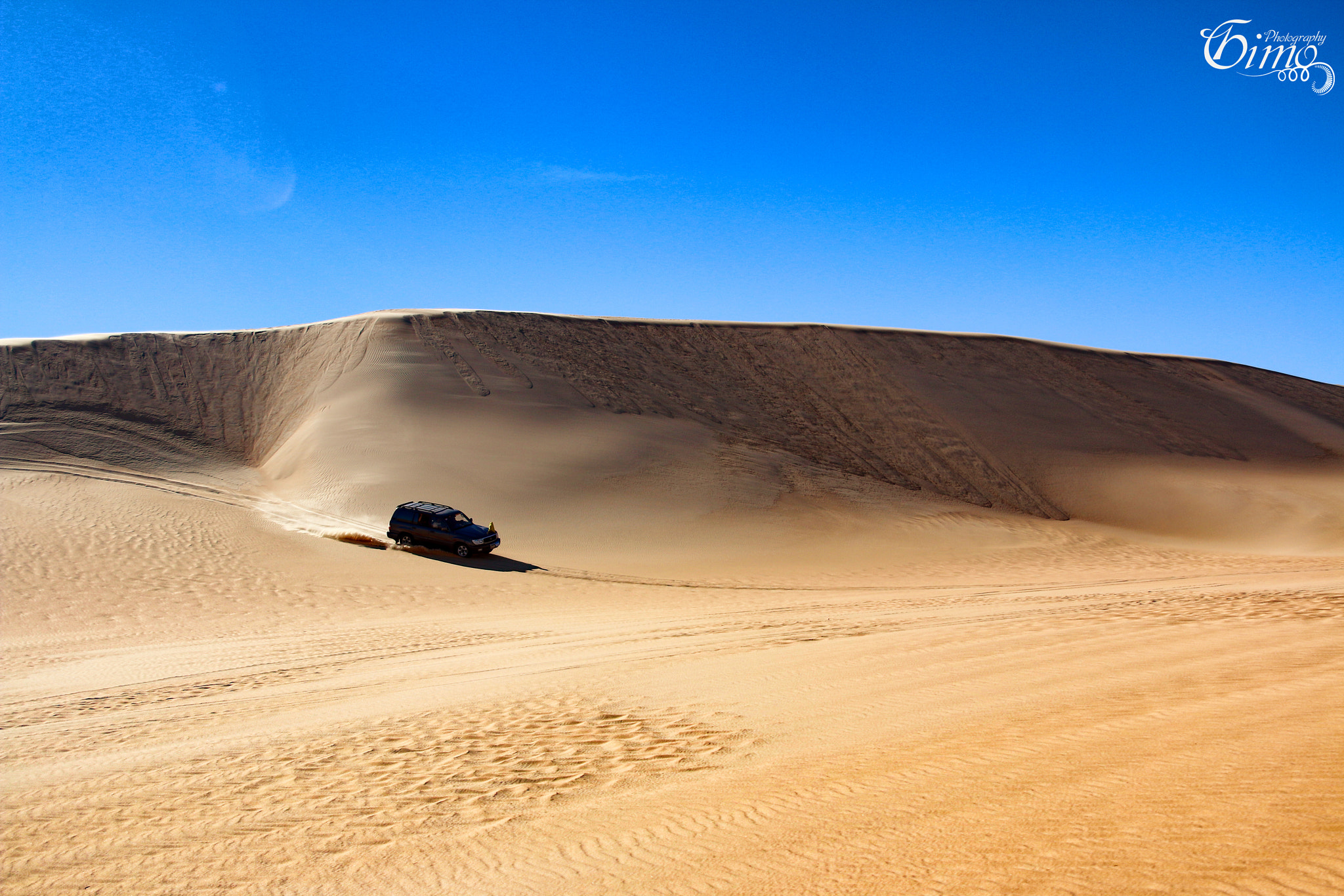 Canon EOS 70D + Canon EF 400mm f/2.8L sample photo. Western desert photography